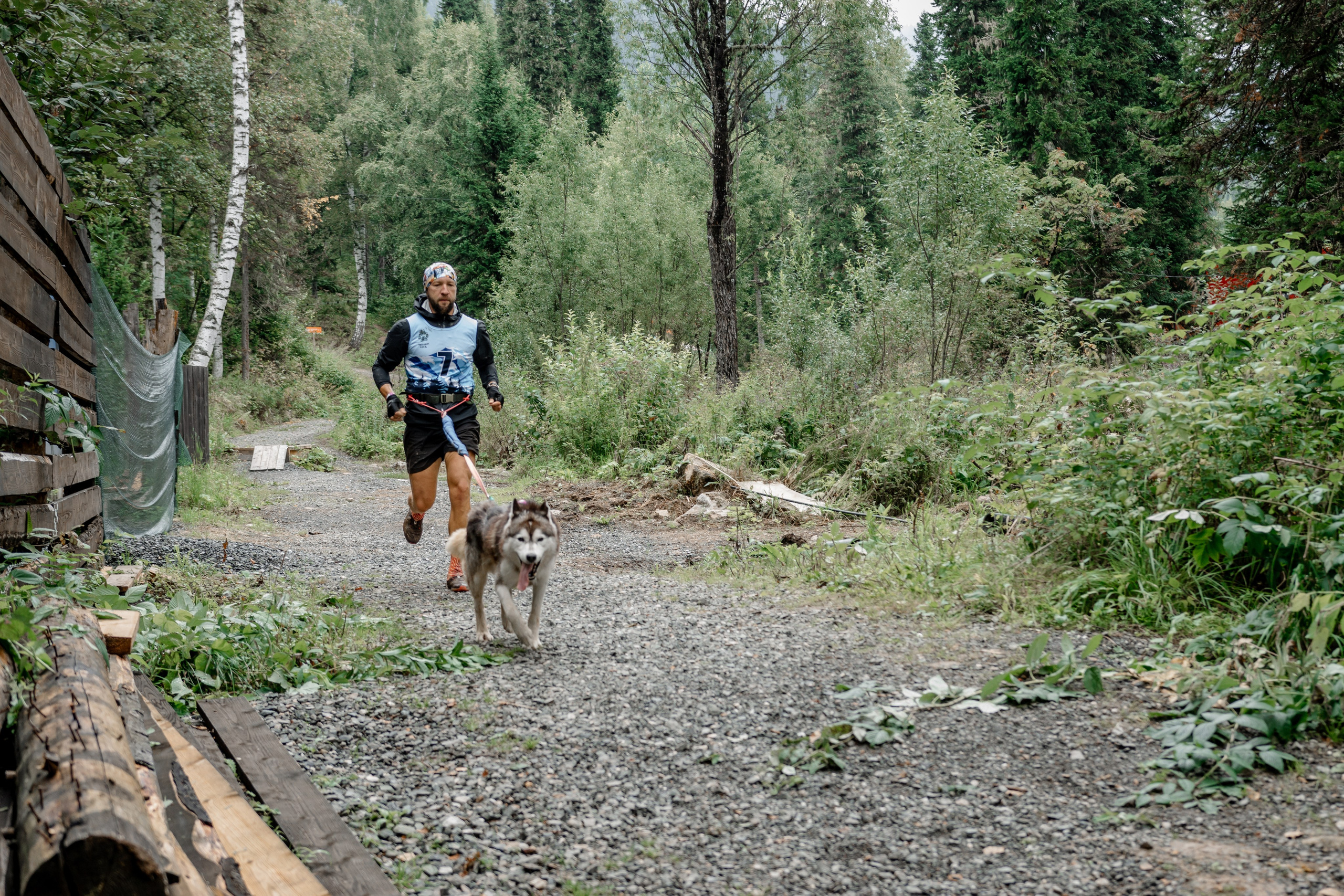 Дог-треккинг