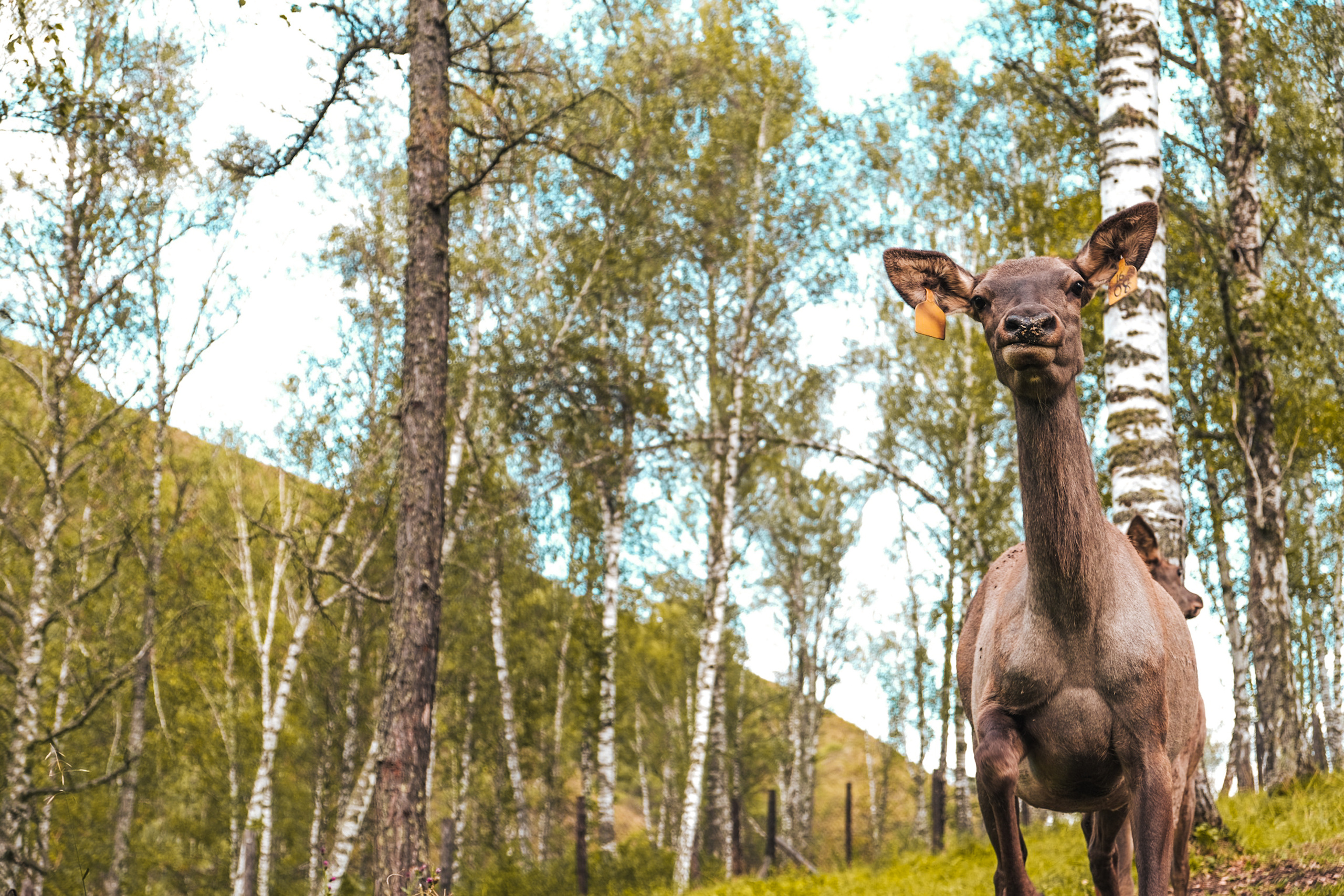 Travel. Фотограф в Тюмени Кирилл Марфин