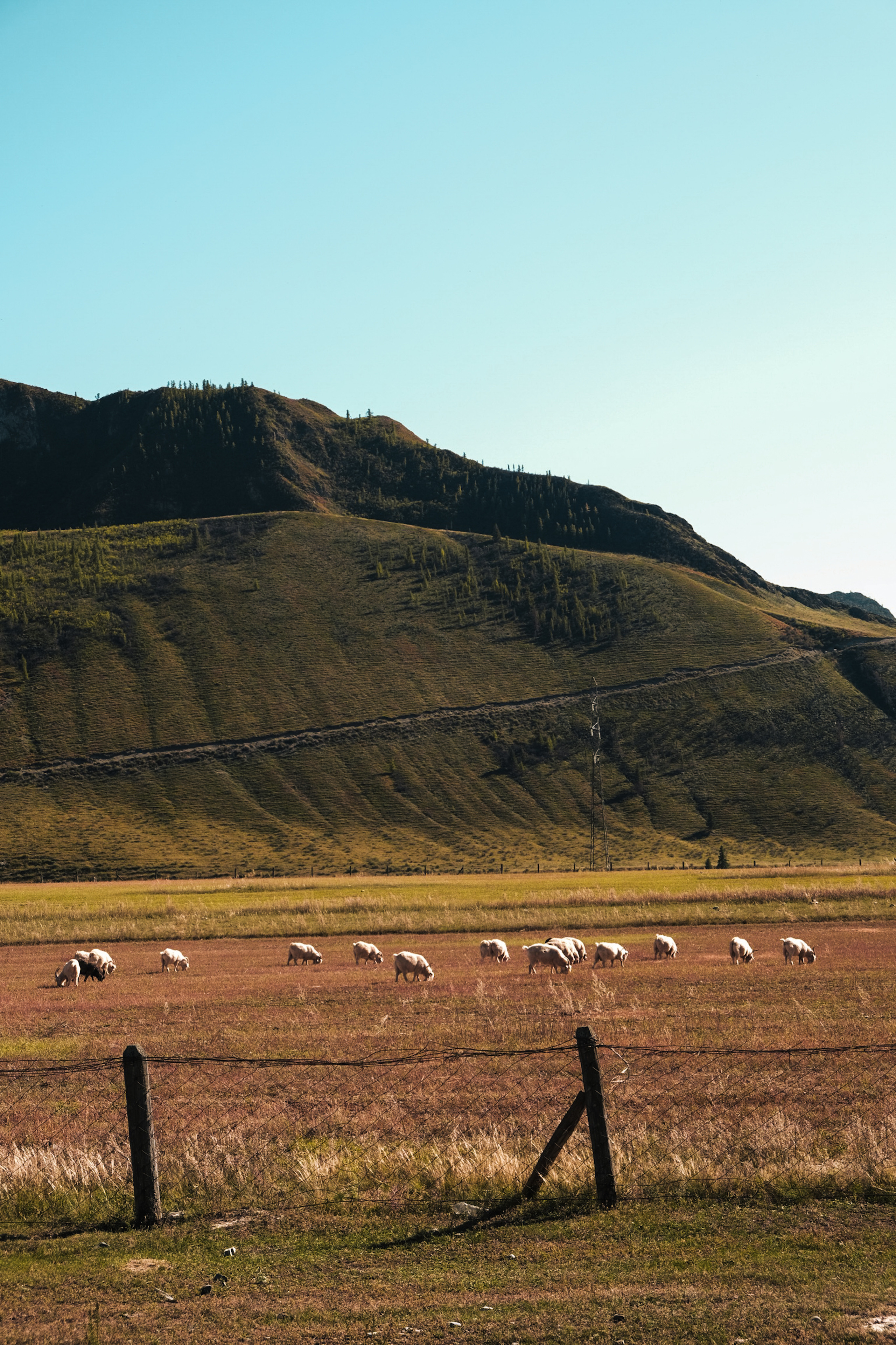 Travel. Фотограф в Тюмени Кирилл Марфин