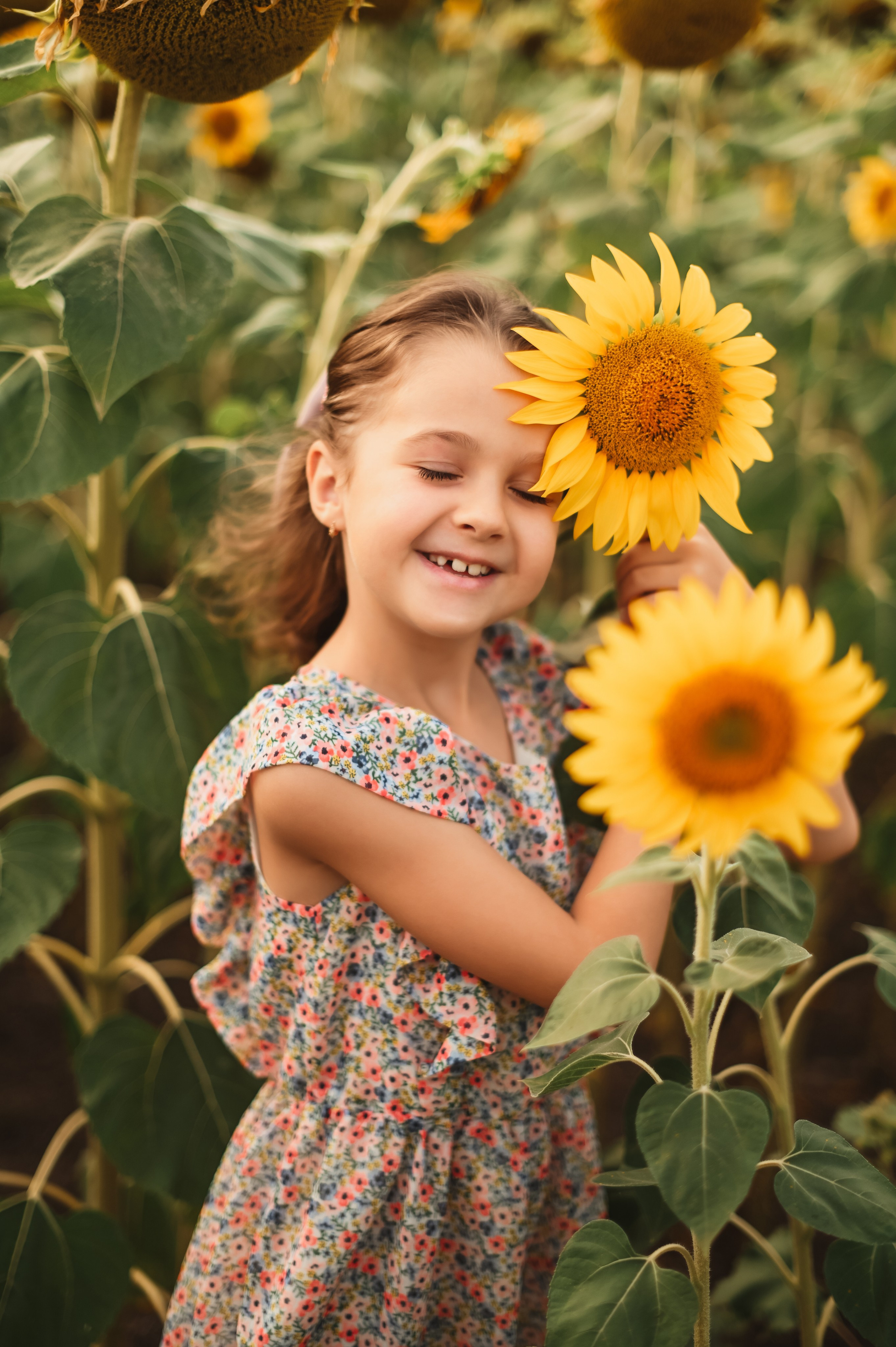 Подсолнухи Света, Даша, Миша, Александр. Фотограф Алёна Мил