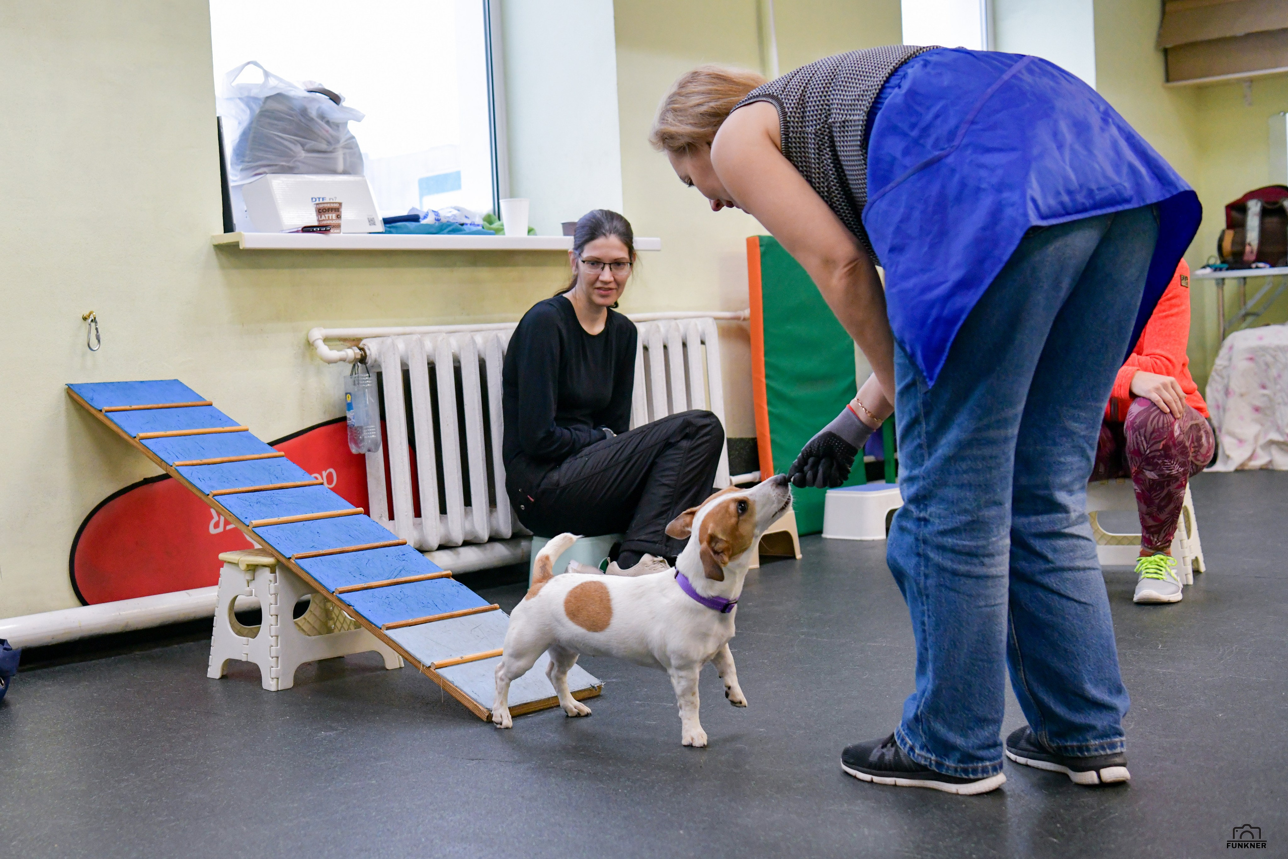 Кинологический клуб «Бодрый хвост». Свой взгляд через объектив