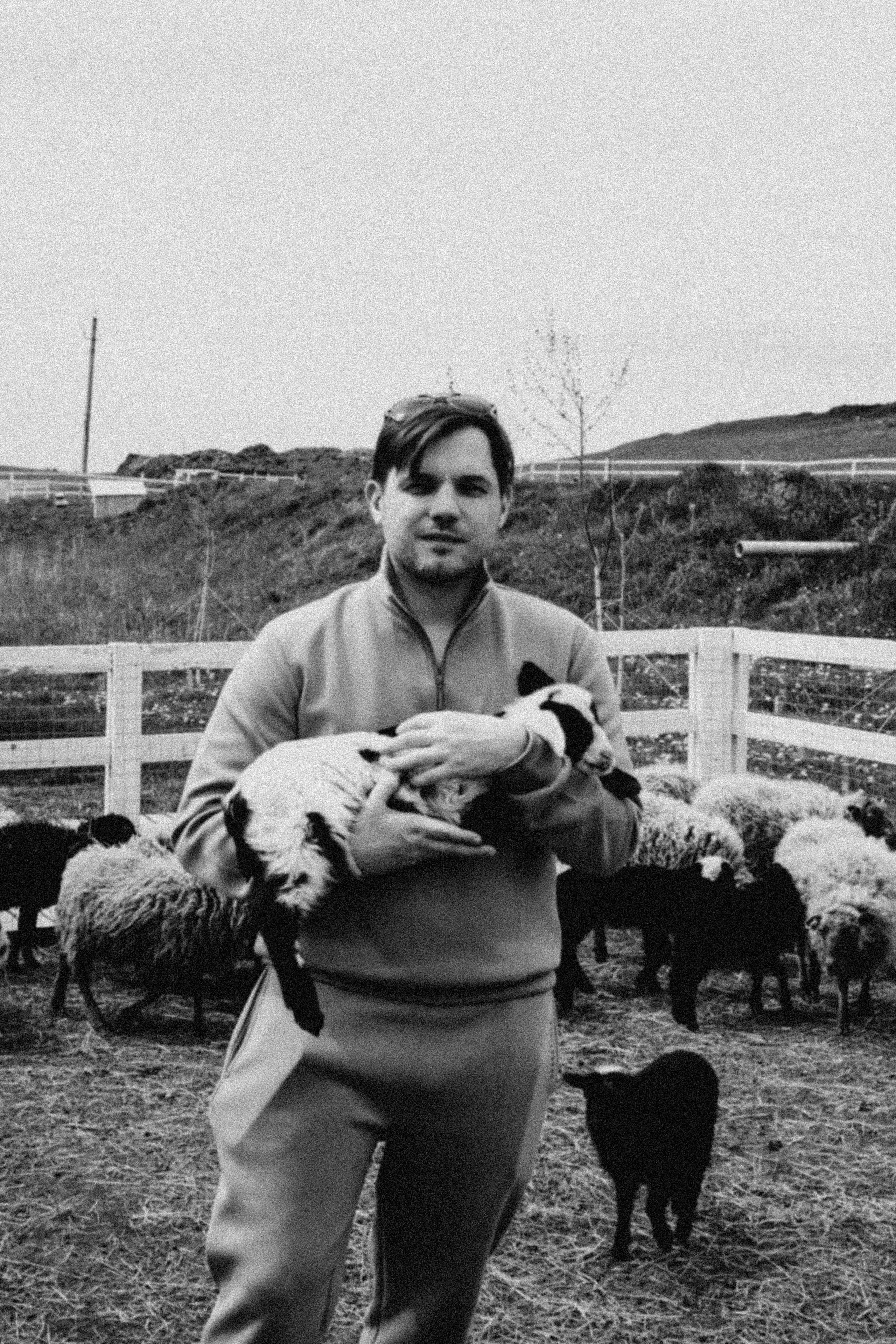 Ферма Альпак. Профессиональный фотограф, Санкт-Петербург — Виктория Богомолова