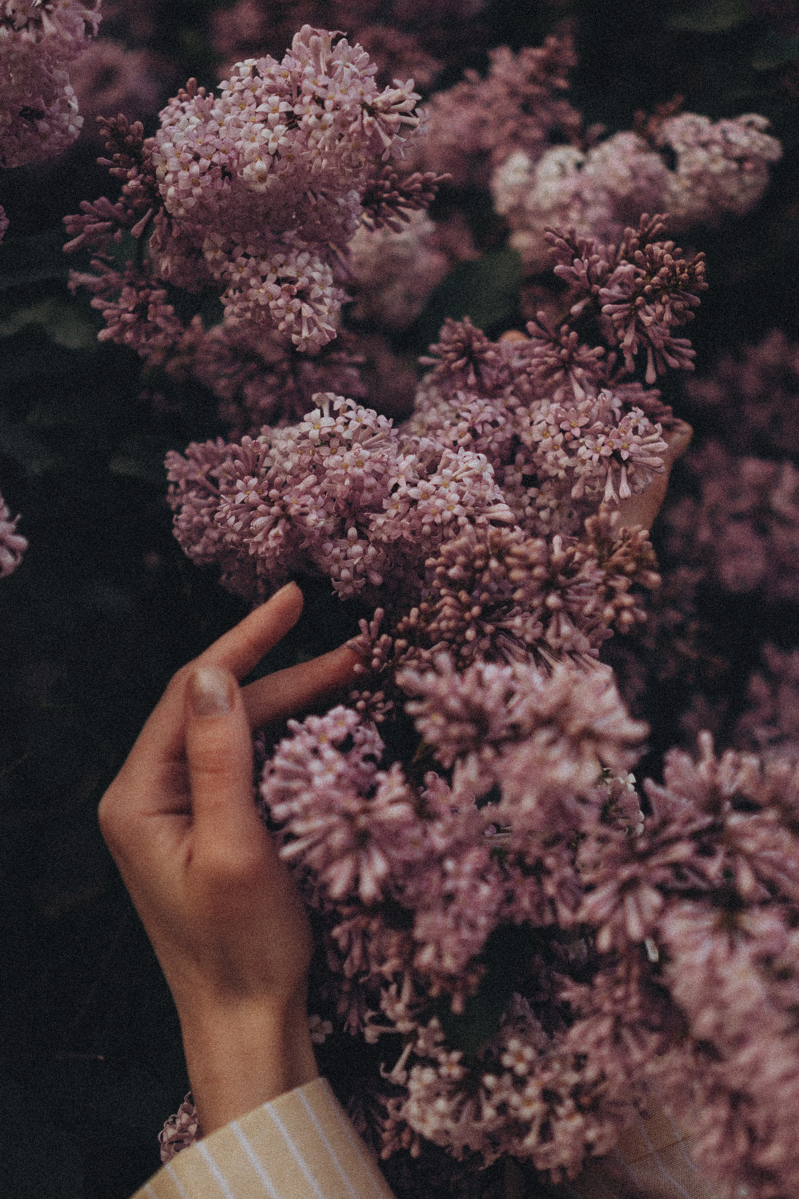 Весна. Профессиональный фотограф, Санкт-Петербург — Виктория Богомолова