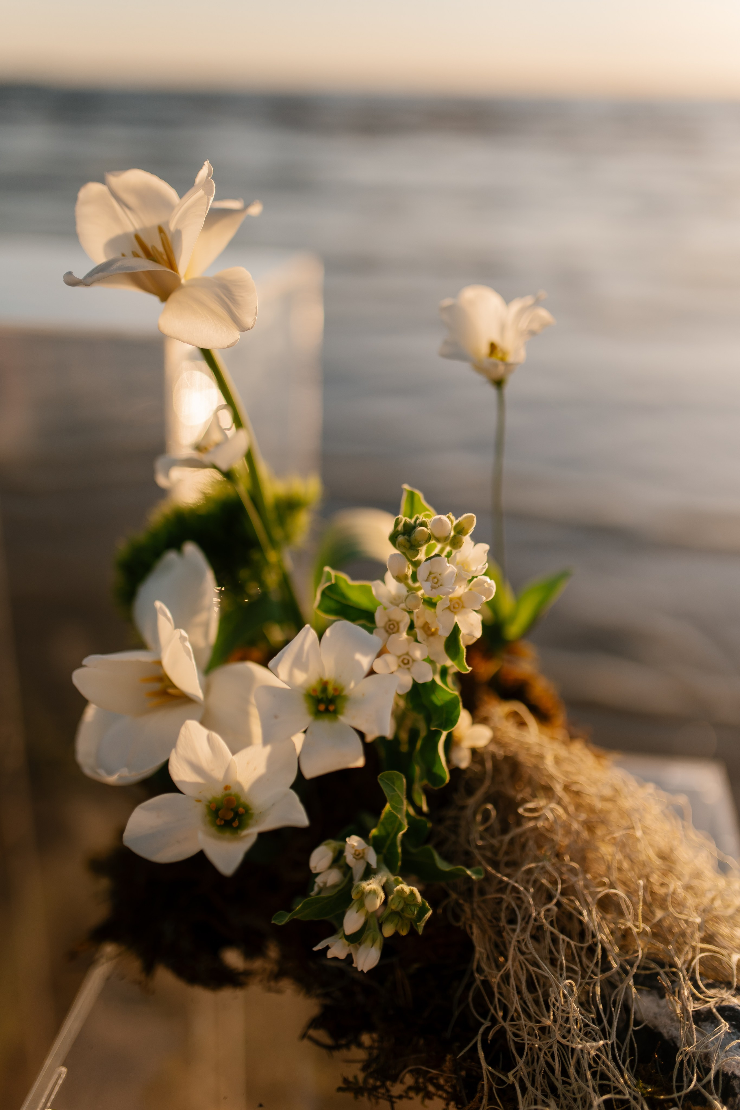 Финский залив. Свадебный и семейный фотограф Пенза Анастасия Артюшкина