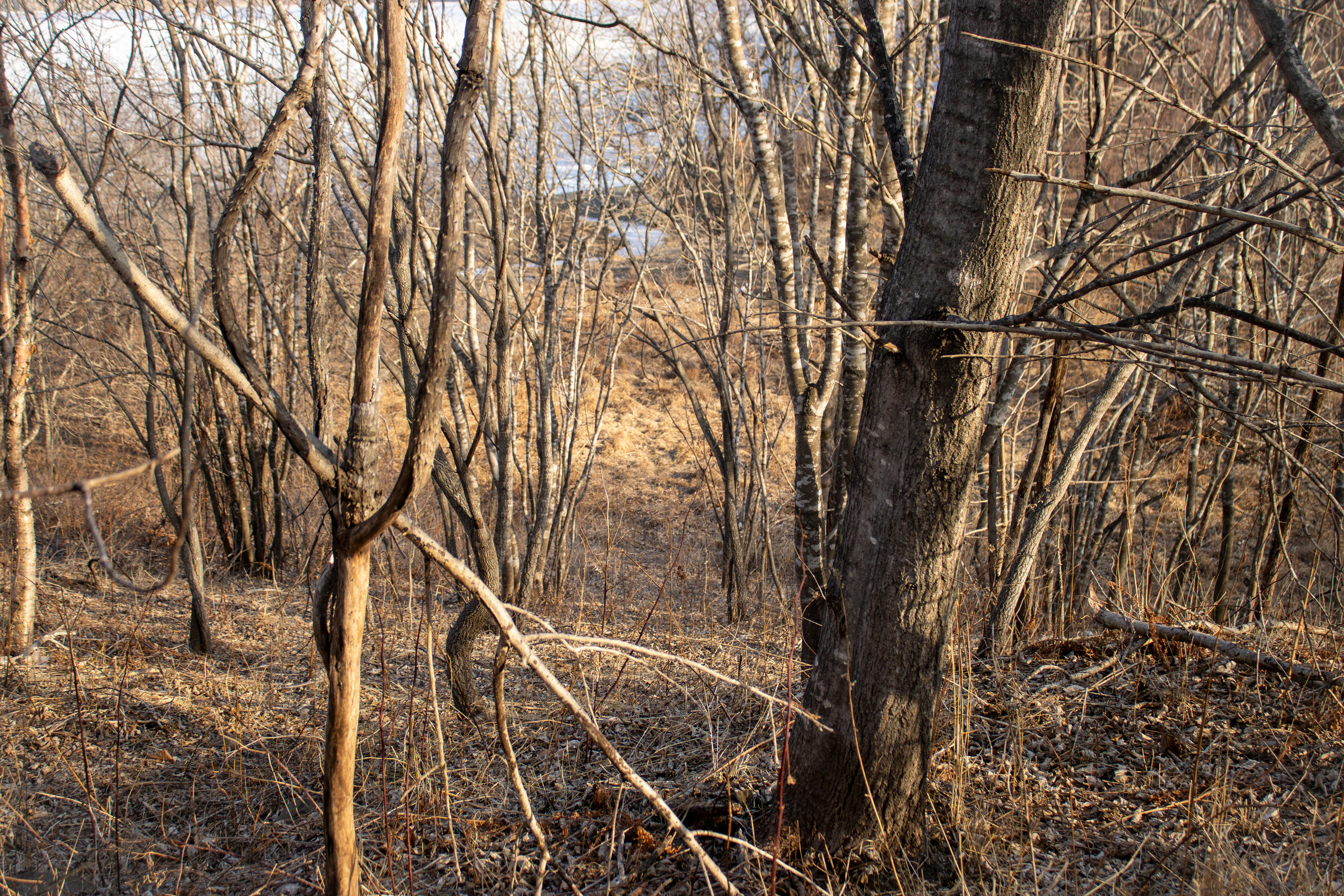 Пейзажи и Природа. Фотограф г. Владивосток