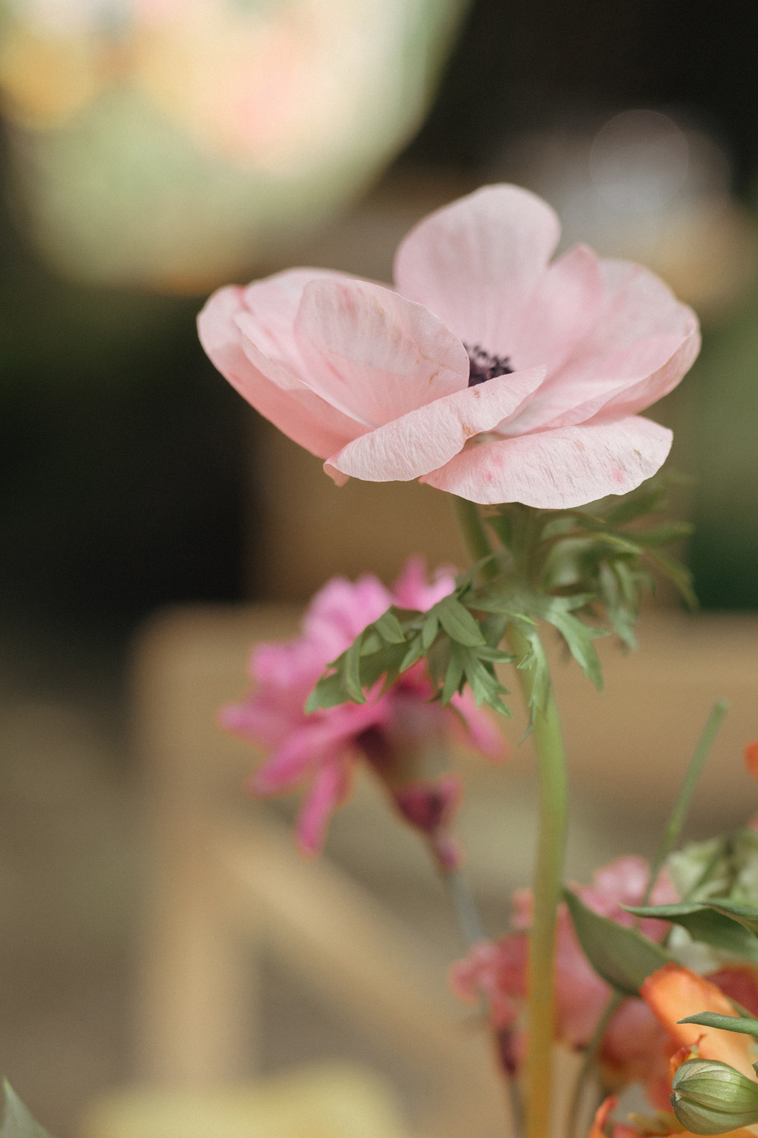 Влад & Даша. Свадебный фотограф в Минске, свадебный фотограф в Грузии, свадебный фо