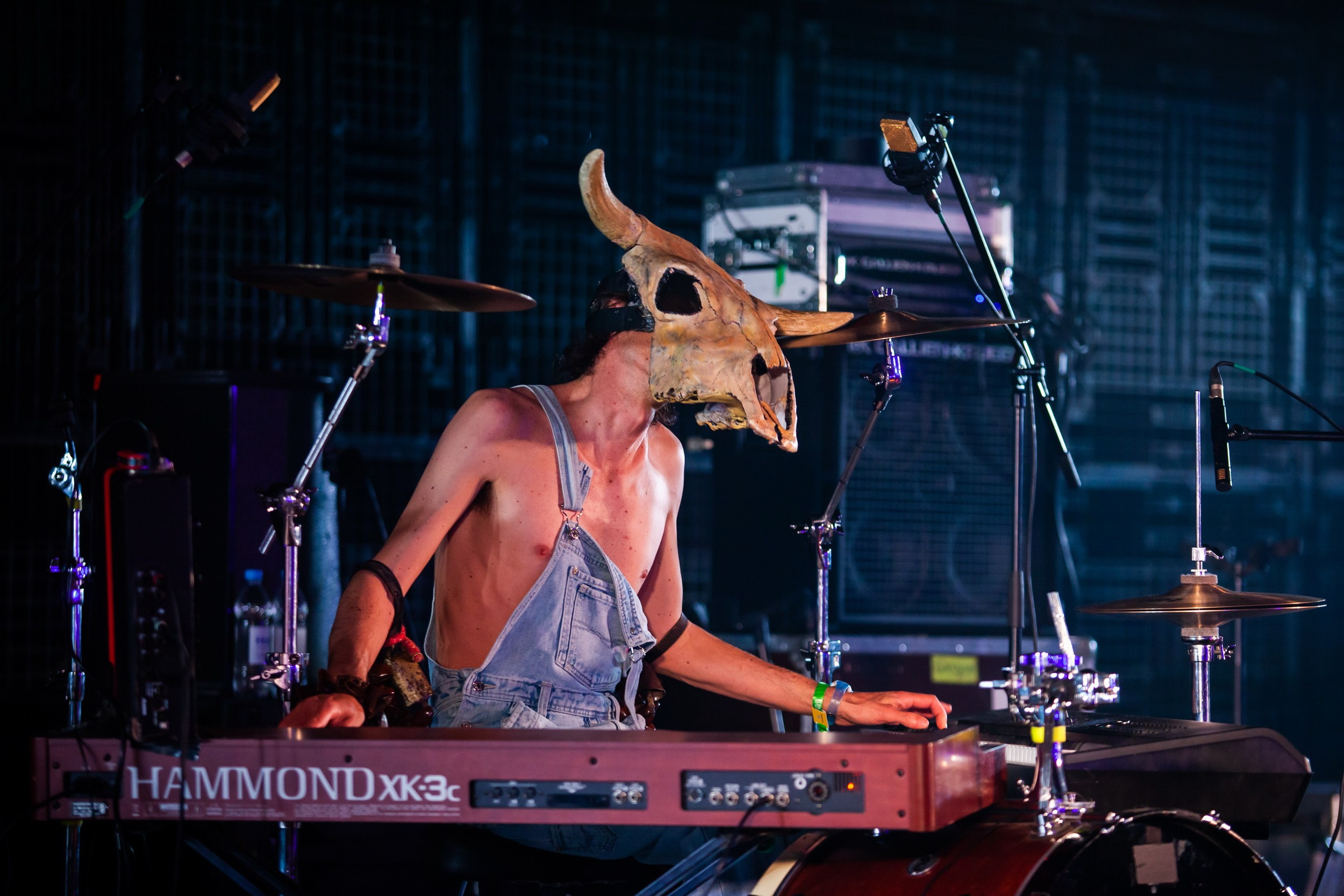 2019. Репортажный фотограф Алексей Пирязев