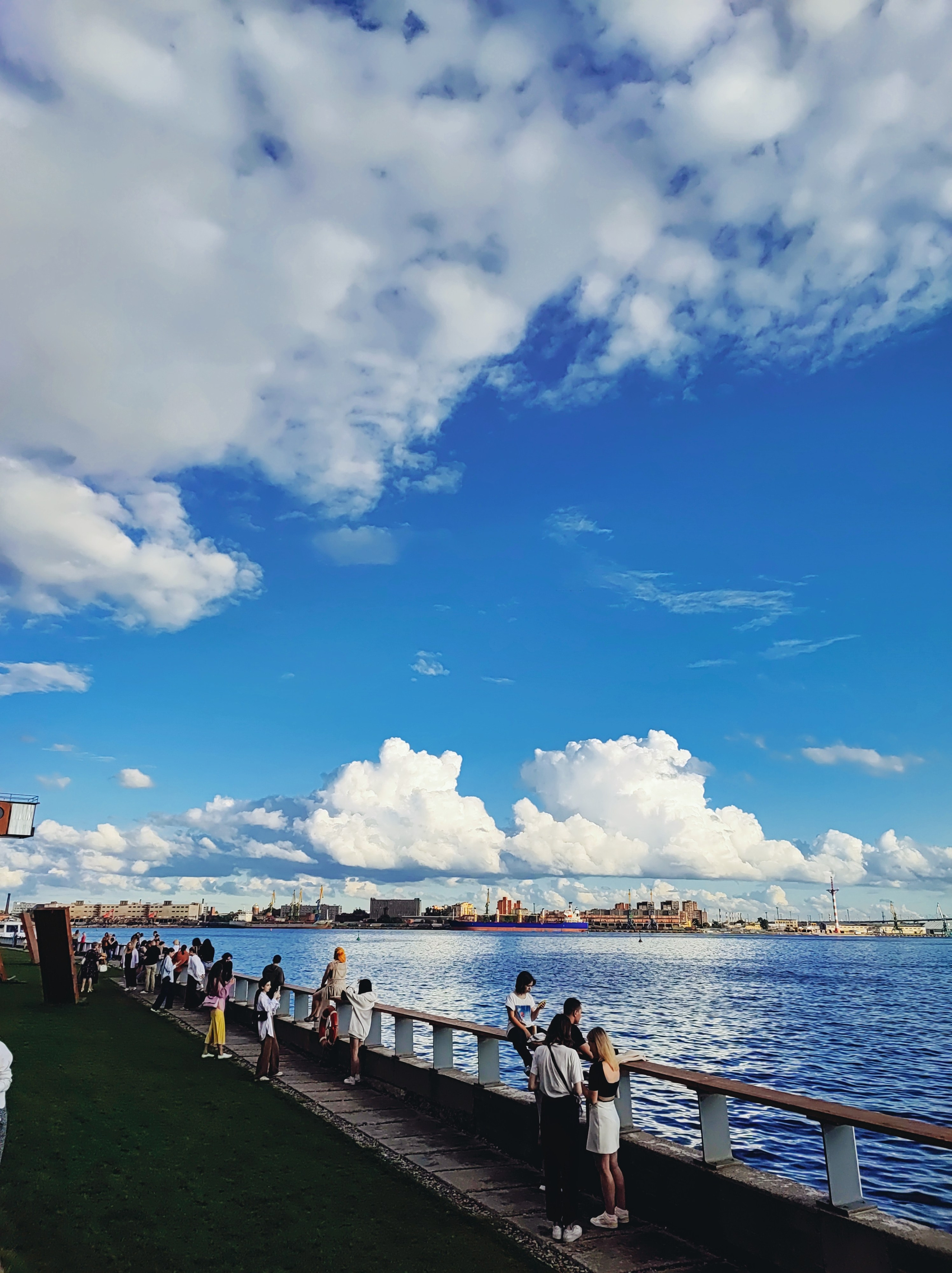 Намобилкус питерский. Репортажный фотограф Алексей Пирязев