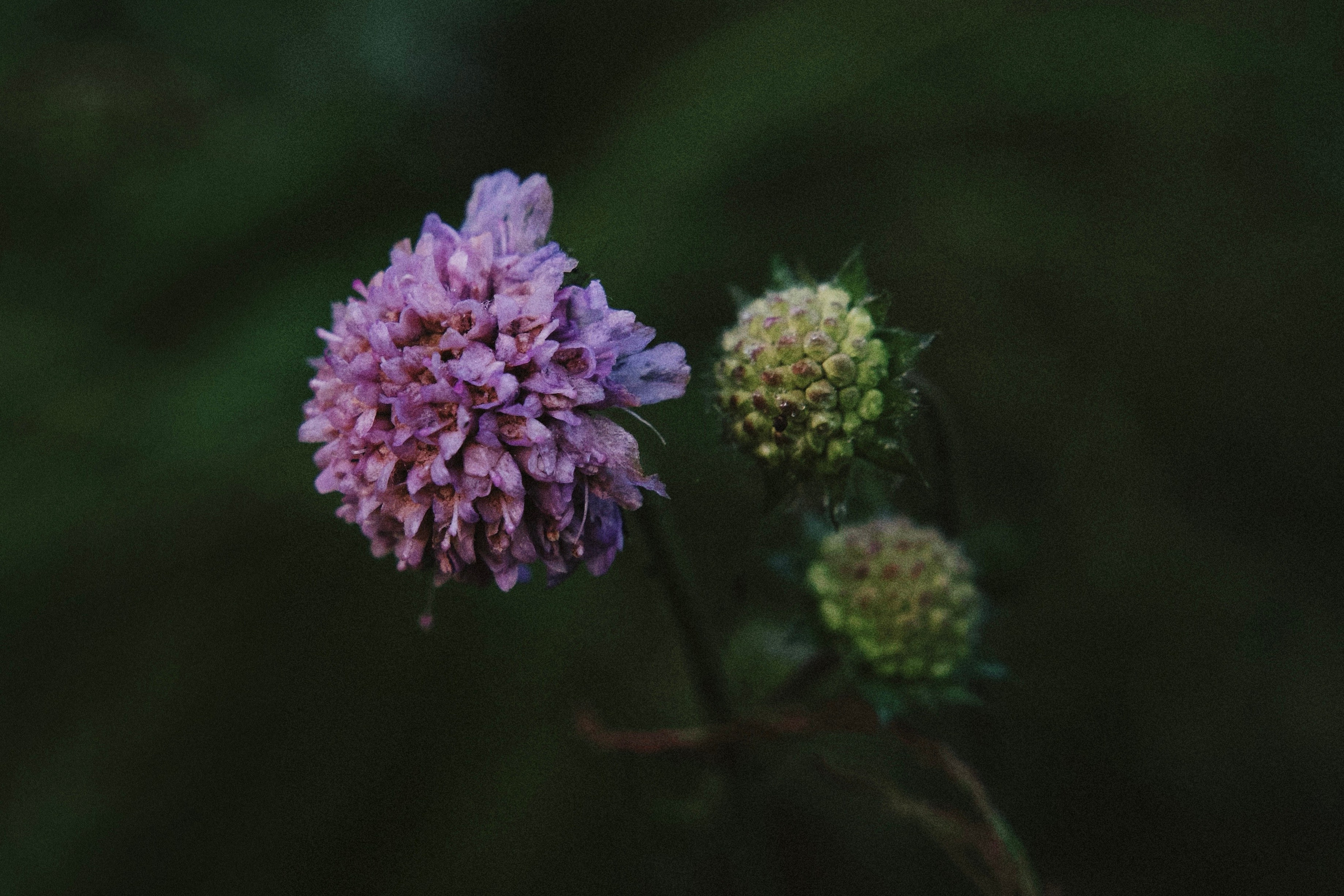 ПРИРОДА. Разноплановый фотограф из Москвы/Твери