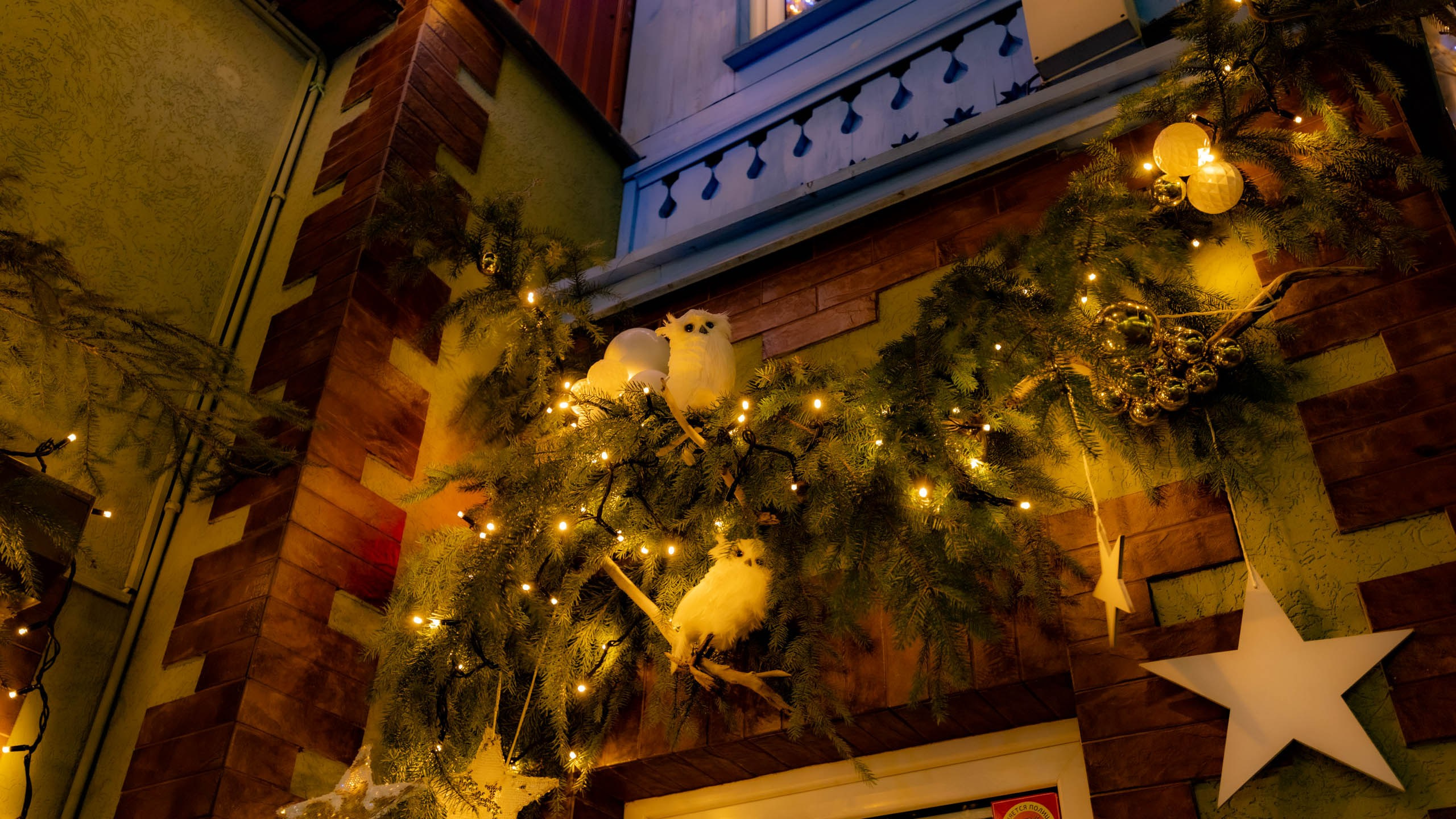 2024 01 Калининград (Светлогорск, Зеленоградск). Фотографии