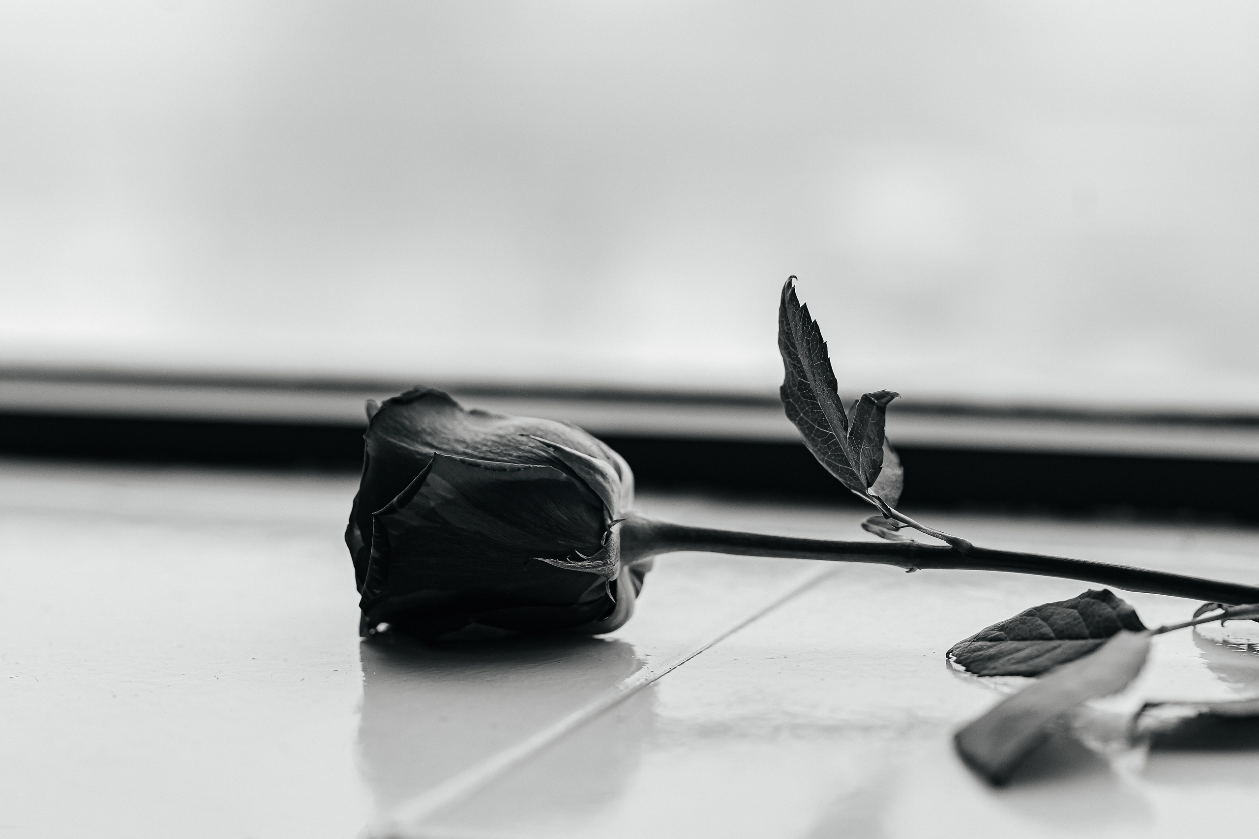 Лена. Фотограф Таинств Крещения и Венчания в г. Курске