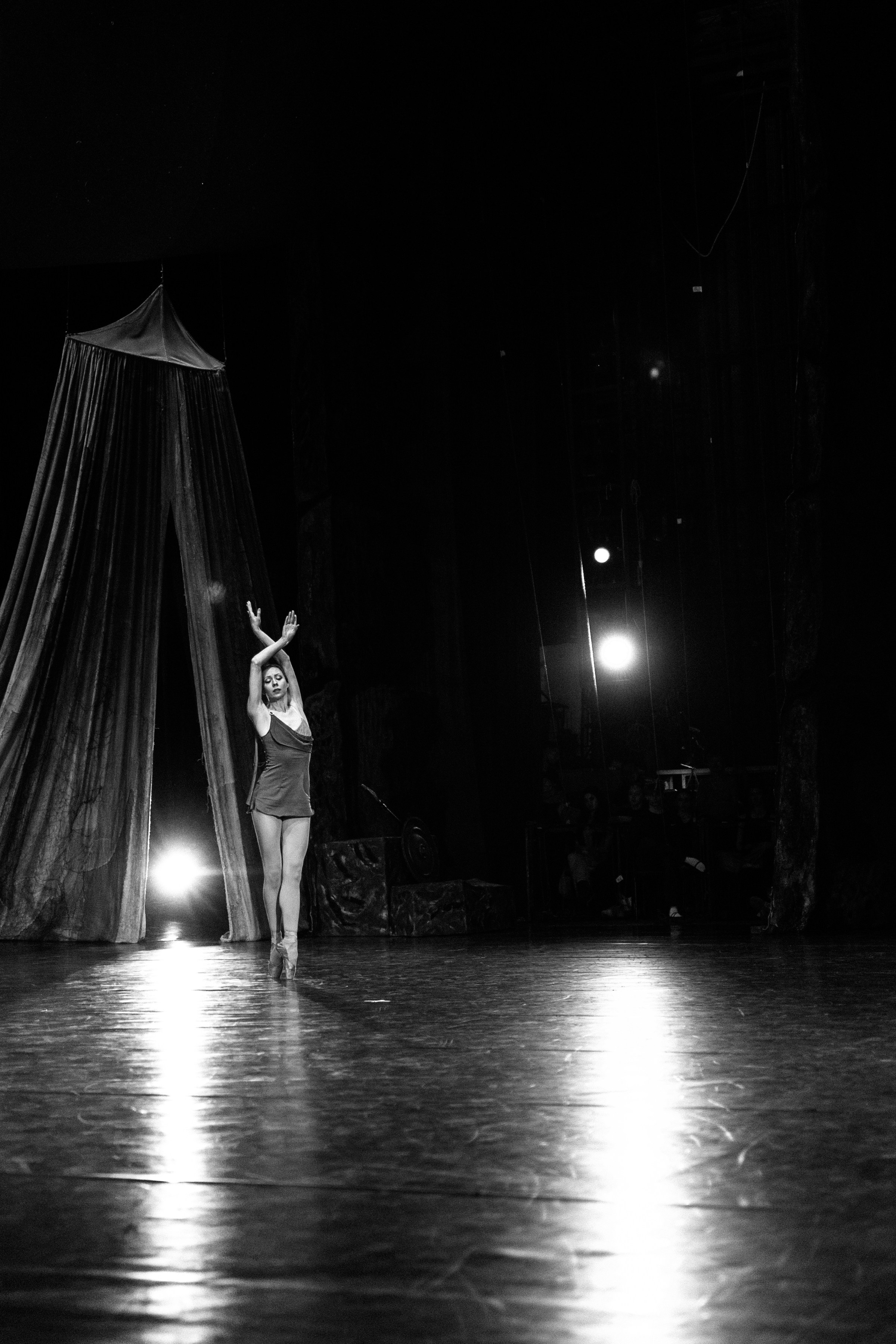 Спартак. Фотограф в Краснодаре Лагунов Владимир