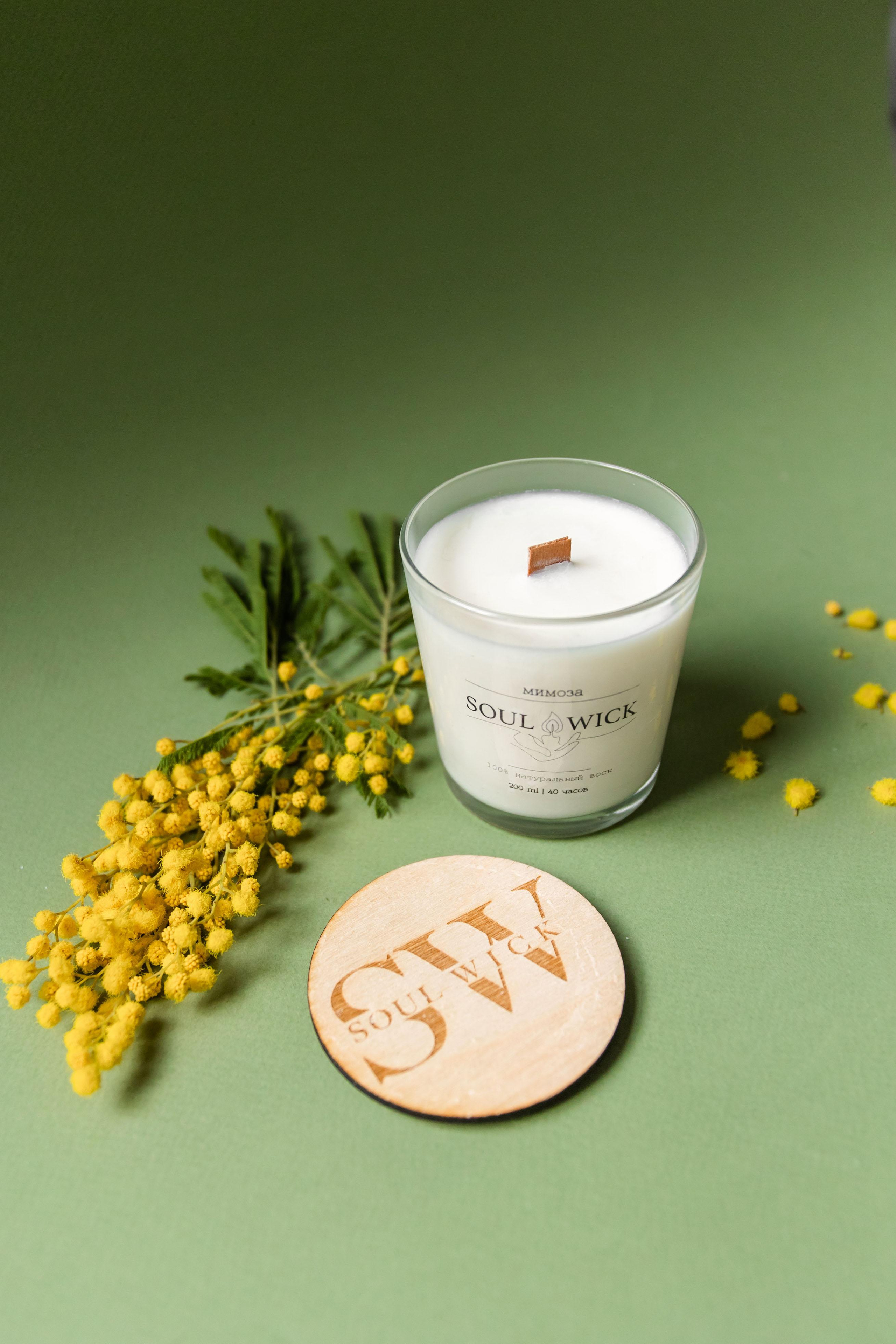 Ника. Фотограф Харитонова Наталья