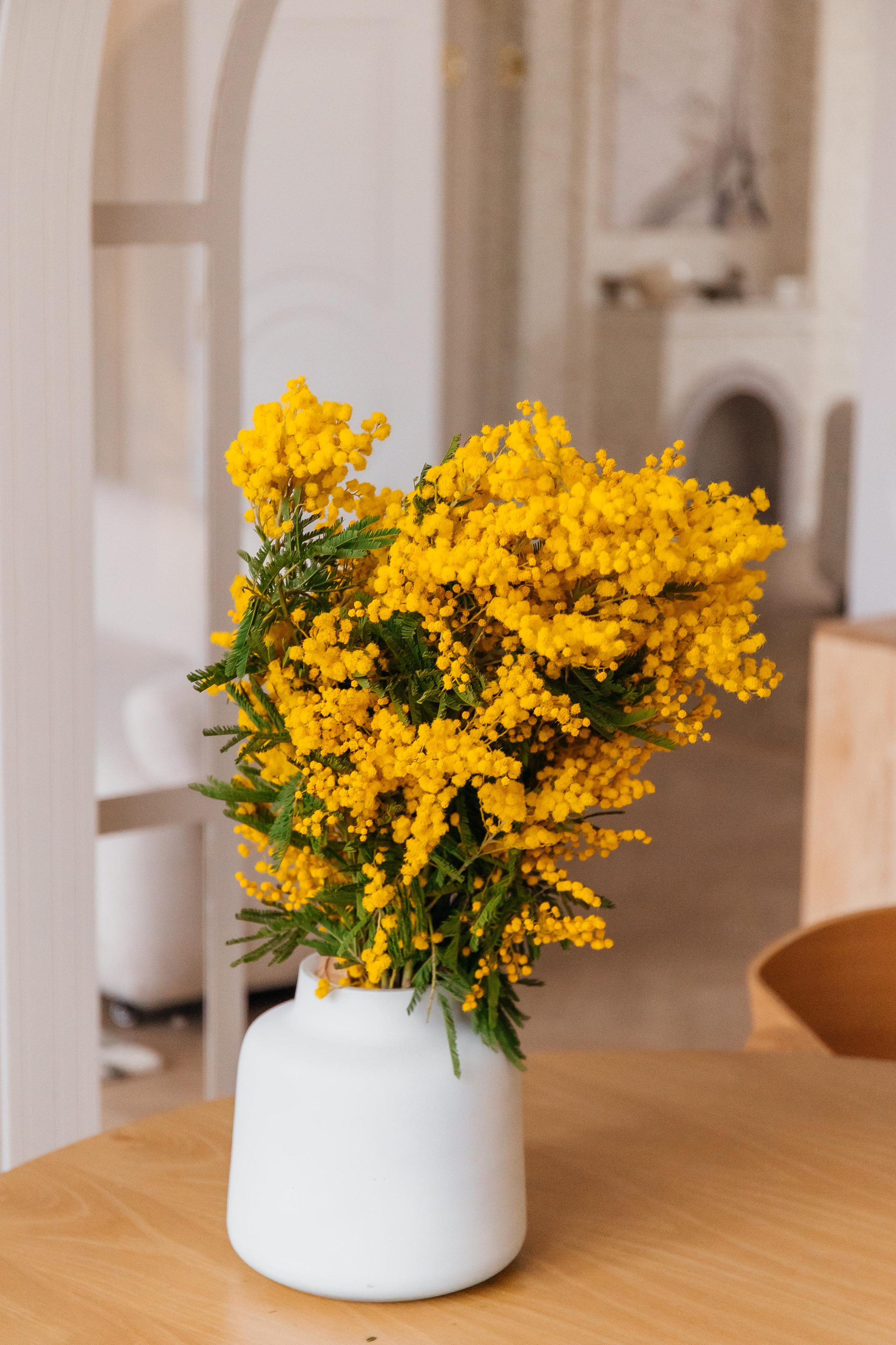 Вика. Фотограф Харитонова Наталья