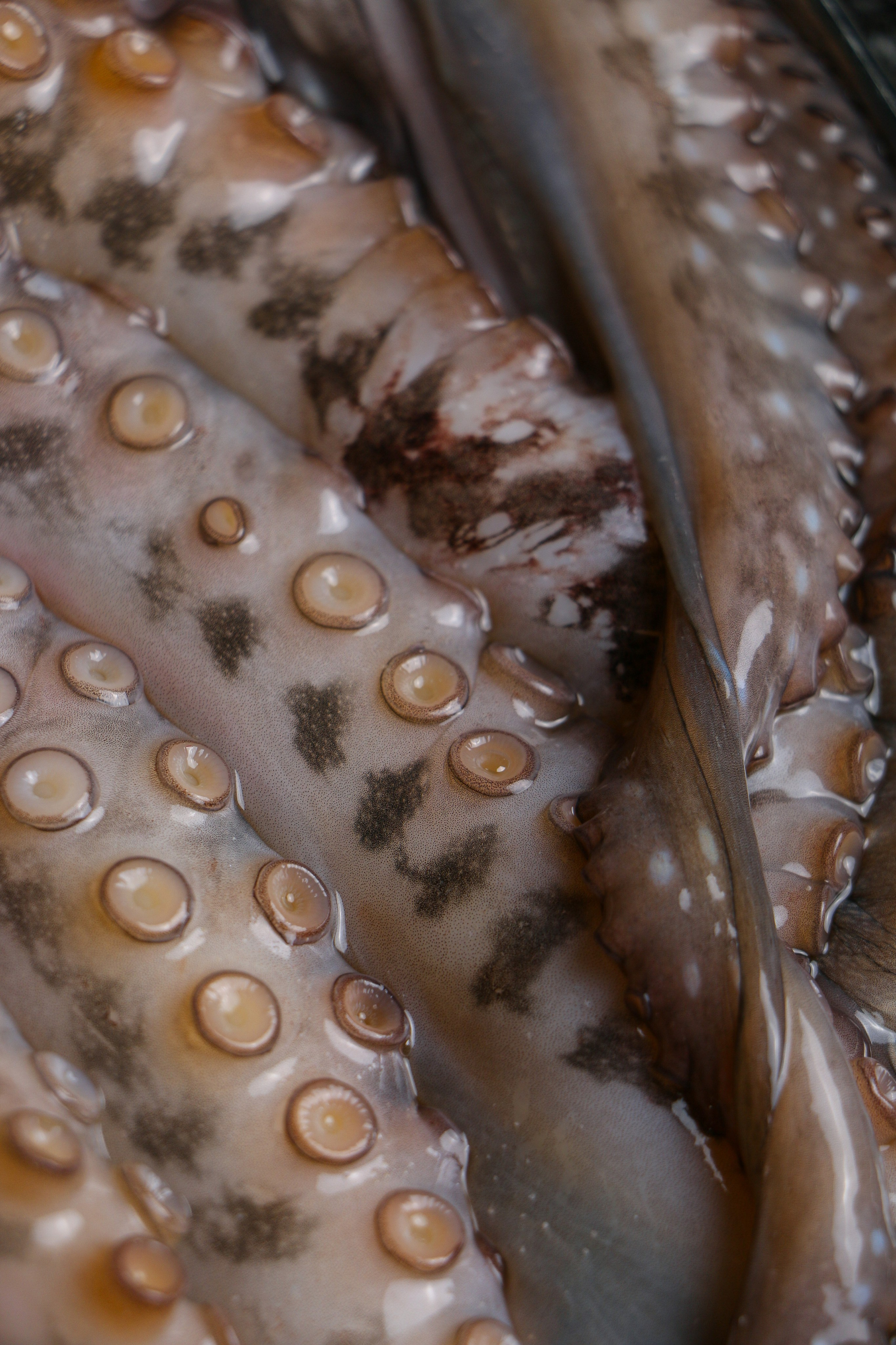 Dolce vita. Контент-фотограф Калининград АНАСТАСИЯ ТКАЧЕВА