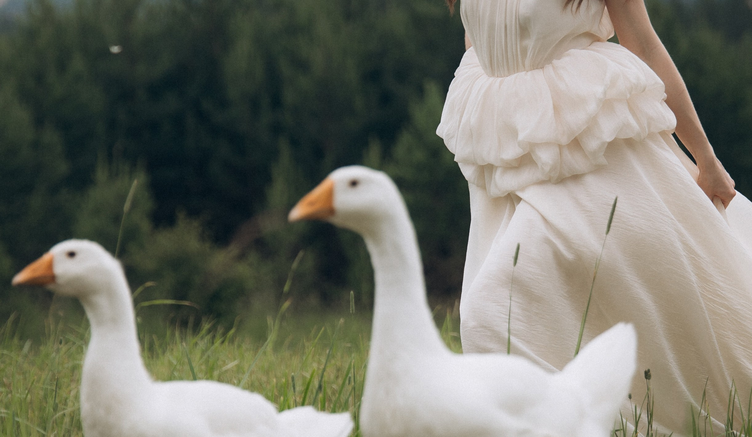 Анастасия и Егор. Свадебный фотограф в Красноярске
