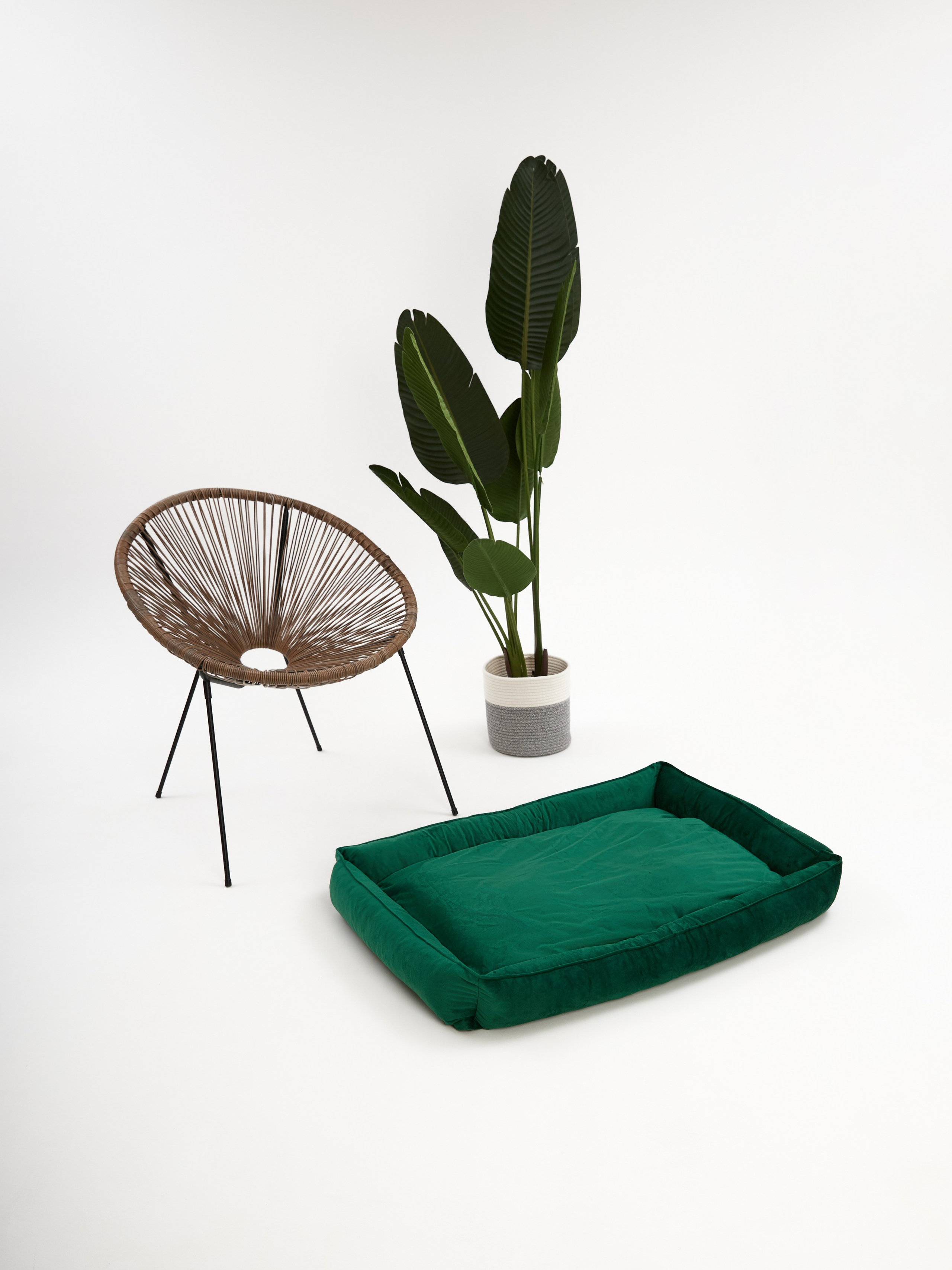 Лежанки. Фотограф