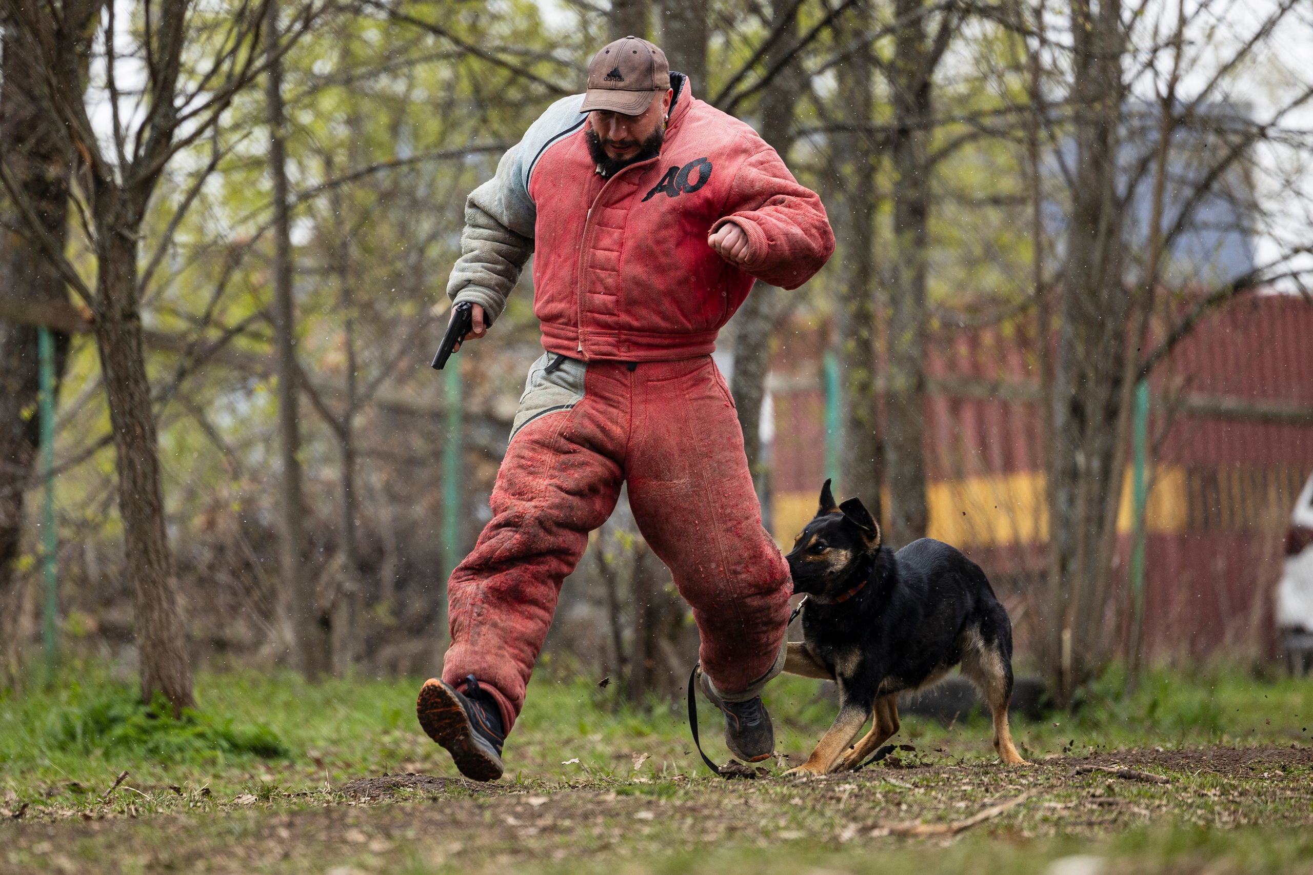 Квалификационные состязания по мондьорингу г. Вологда 11.05.24. Фотограф-анималист Анна Маринич