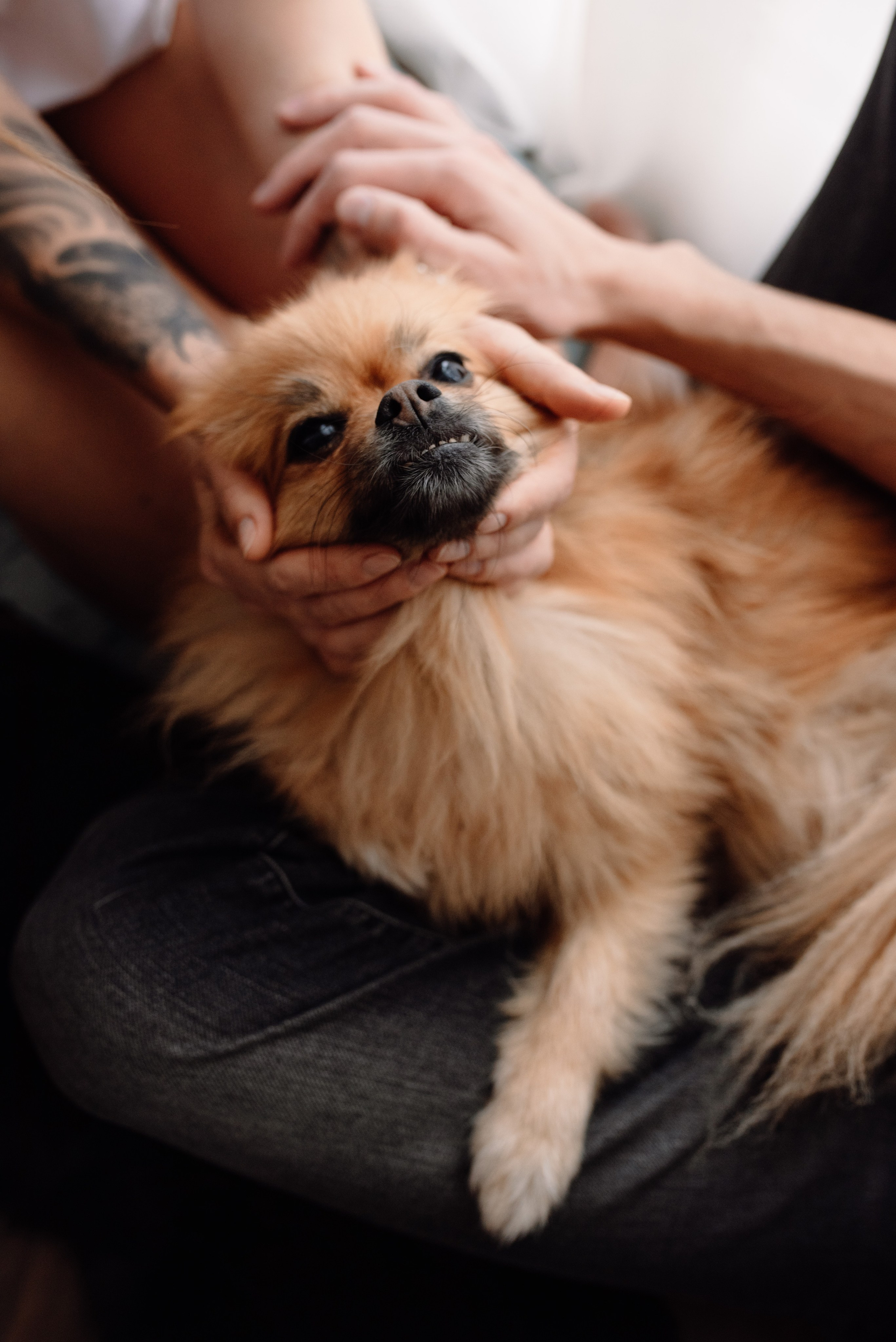 Ульяна и Владимир. Портретный фотограф в Ереване и Челябинске Шаханская Ольга