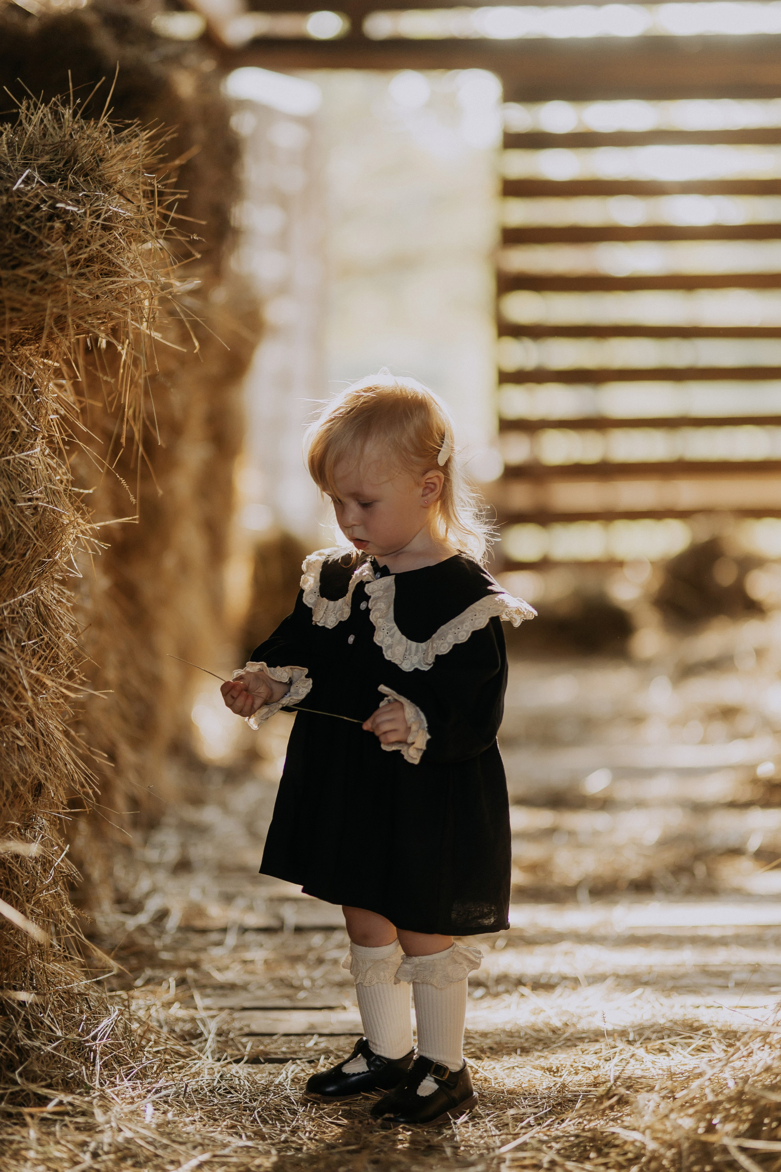 Семейная фотосъемка. Главная