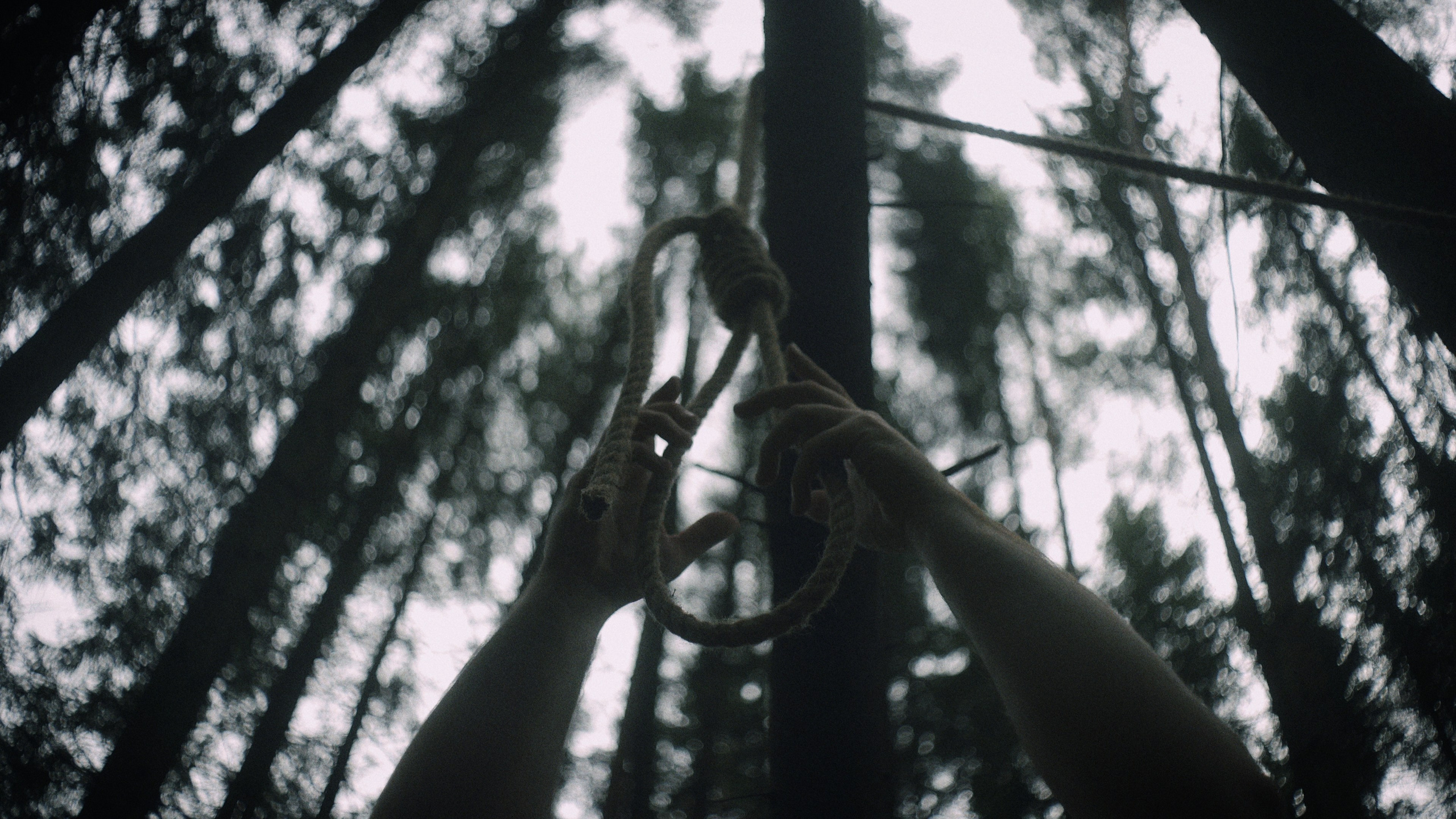 «InSide Media» videomaker Vadim Ermakov