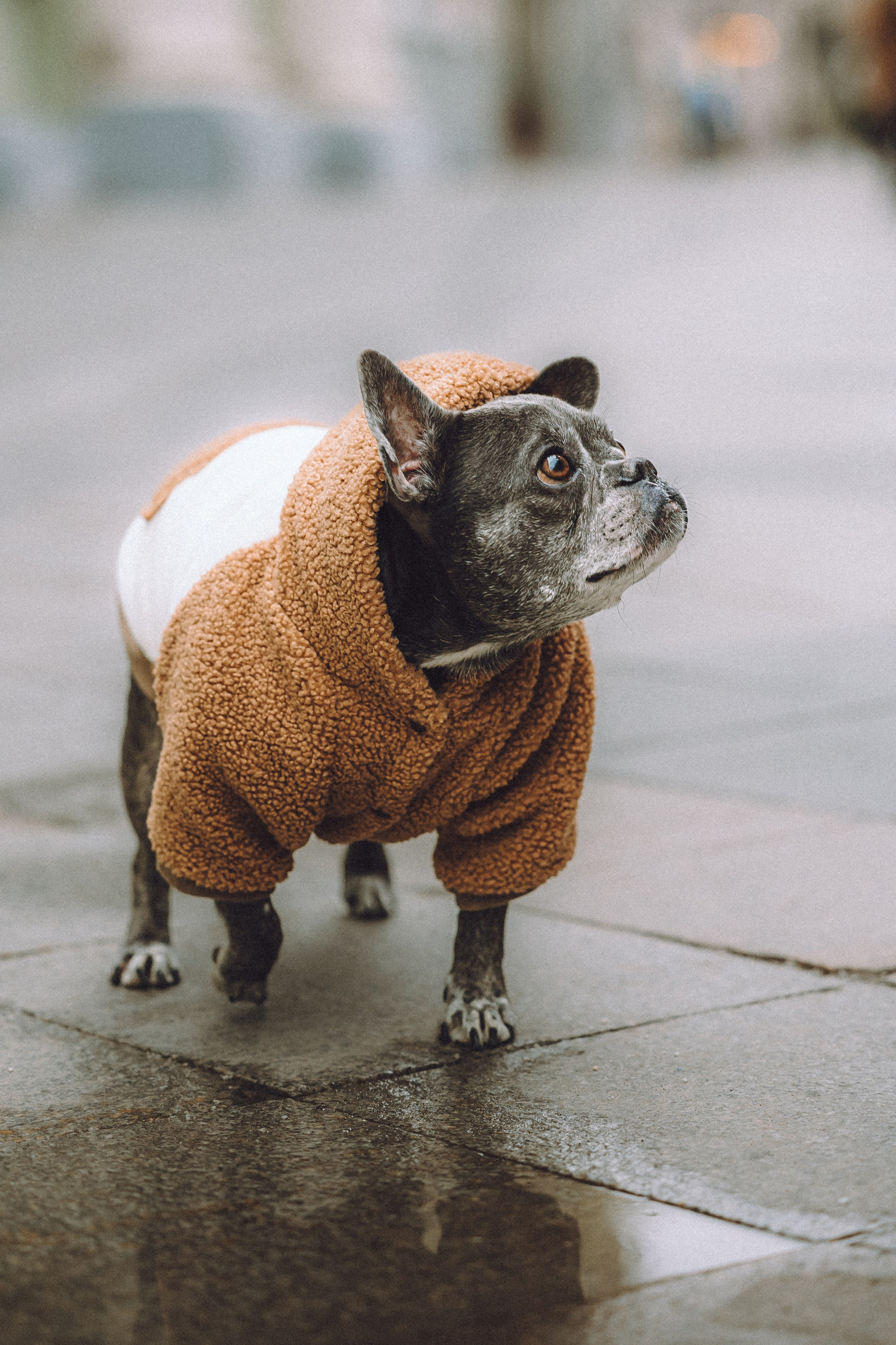 Юля, Вова и Моня