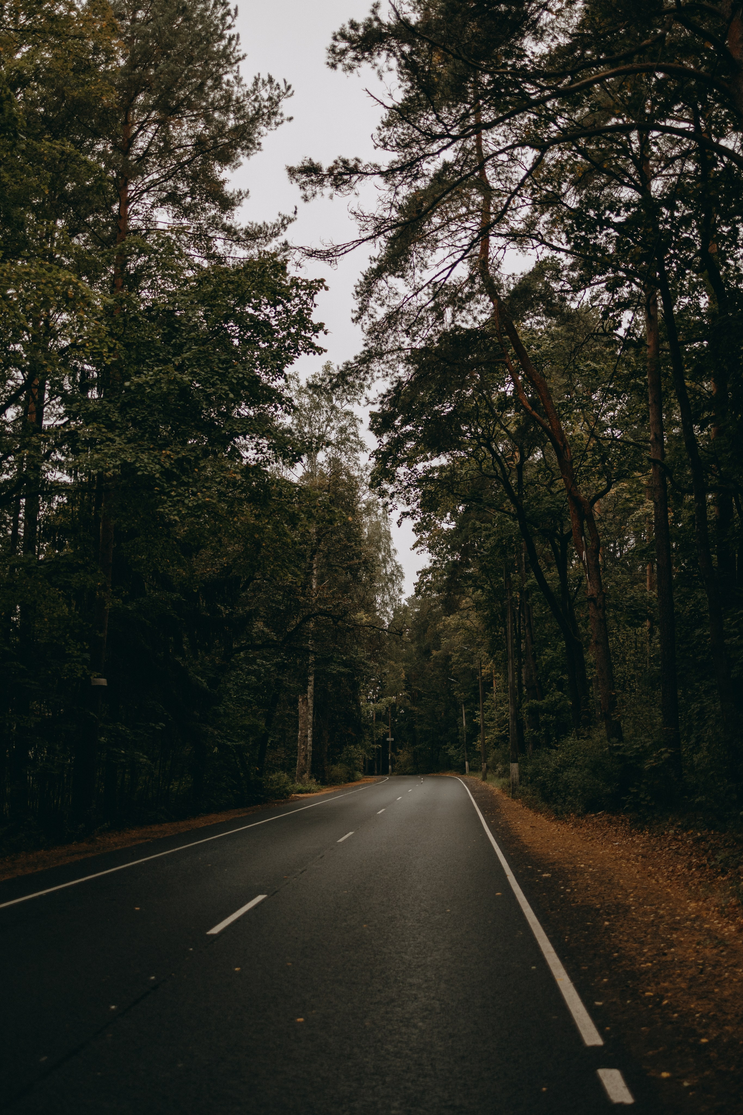 Жу и ее семья. Фотограф — Анималист | Санкт-Петербург