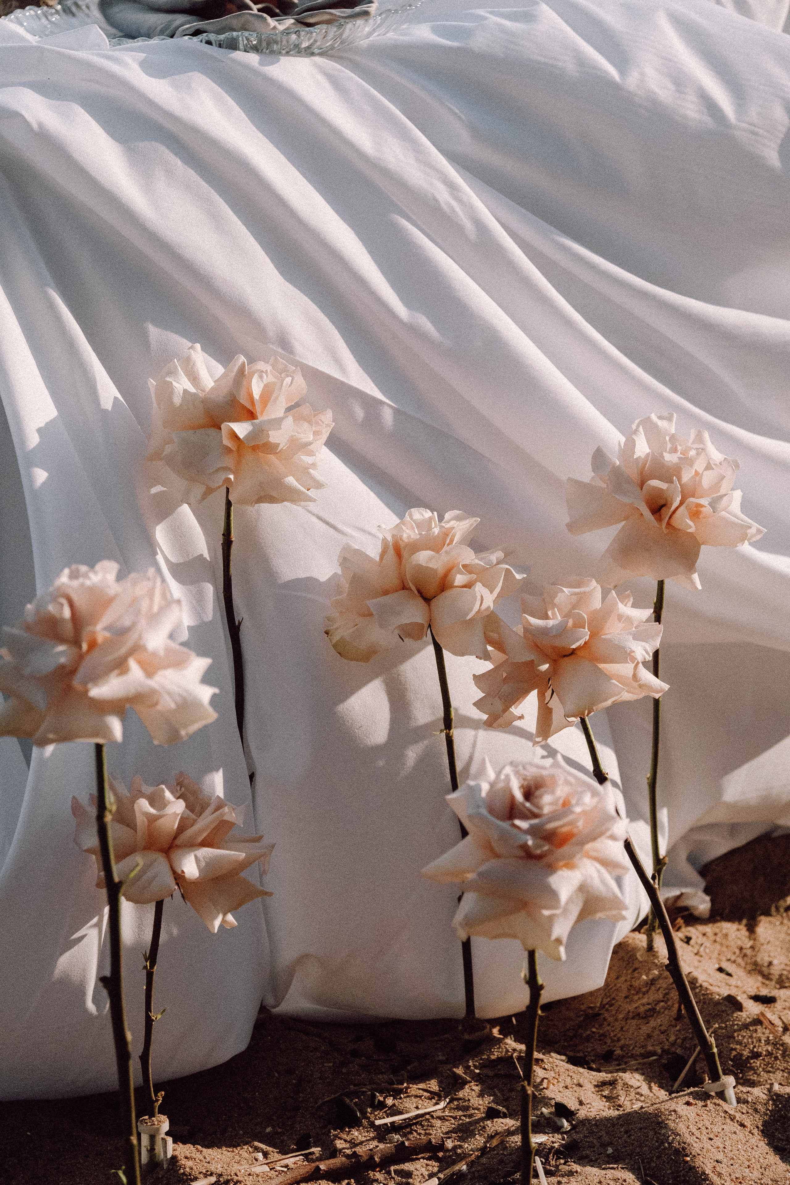 СВАДЕБНАЯ ФОТОСЕССИЯ ВЫЕЗДНОЙ ЦЕРЕМОНИИ (ФИНСКИЙ ЗАЛИВ). Профессиональный фотограф, Санкт-Петербург — Виктория Богомолова