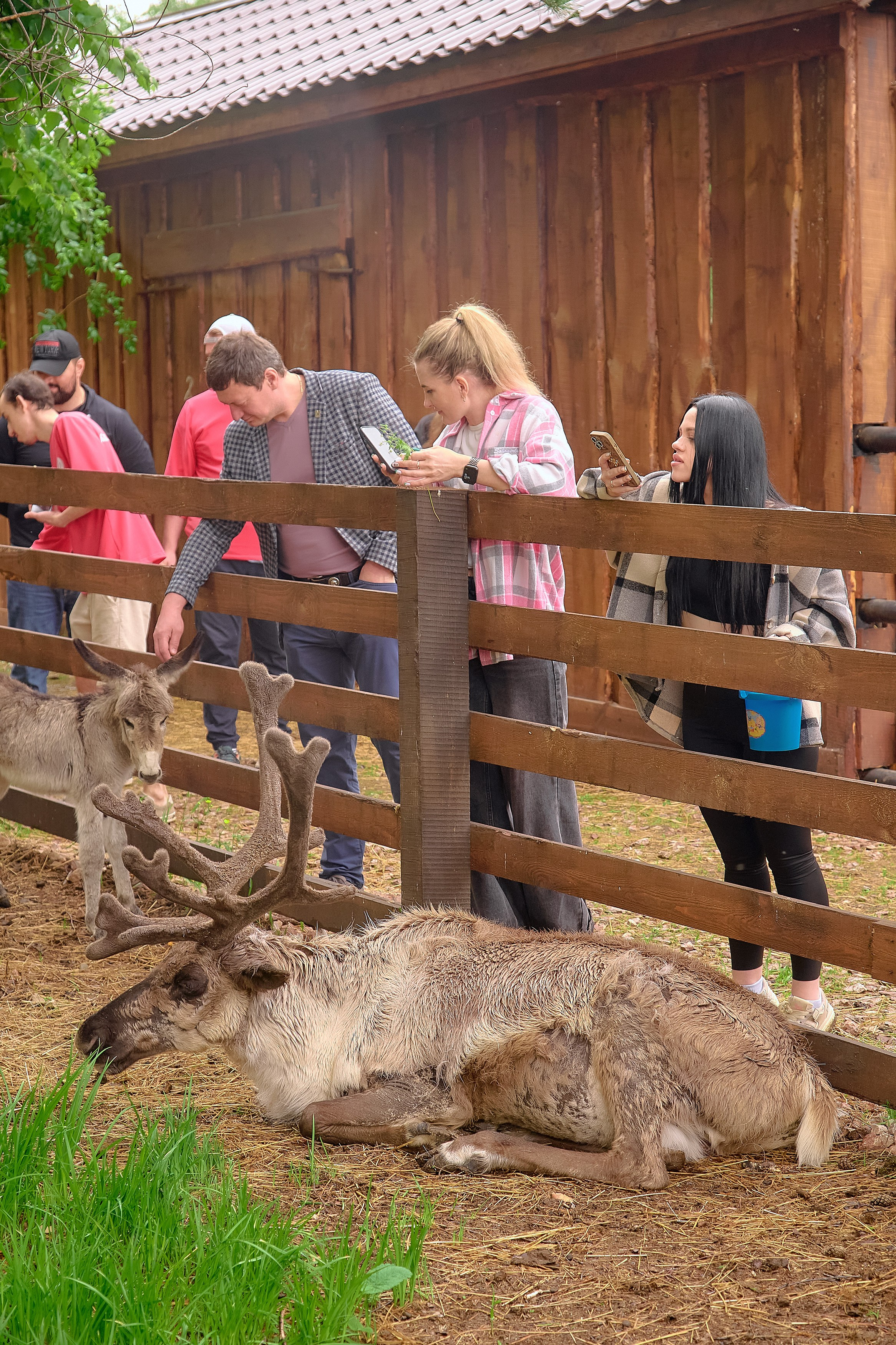 Ранчо «Шарье». Сеть магазинов «Калина-Малина». Фотограф Яковлев Роман — Красноярск