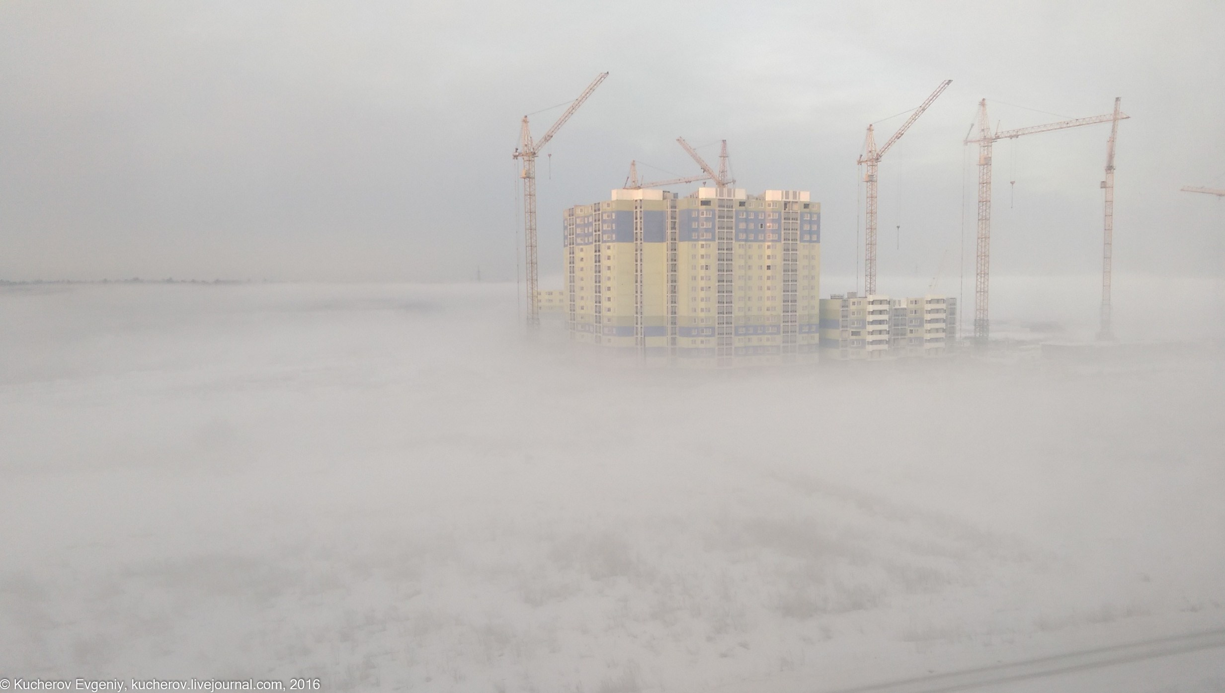 Туман. Кучеров Евгений. Фотограф