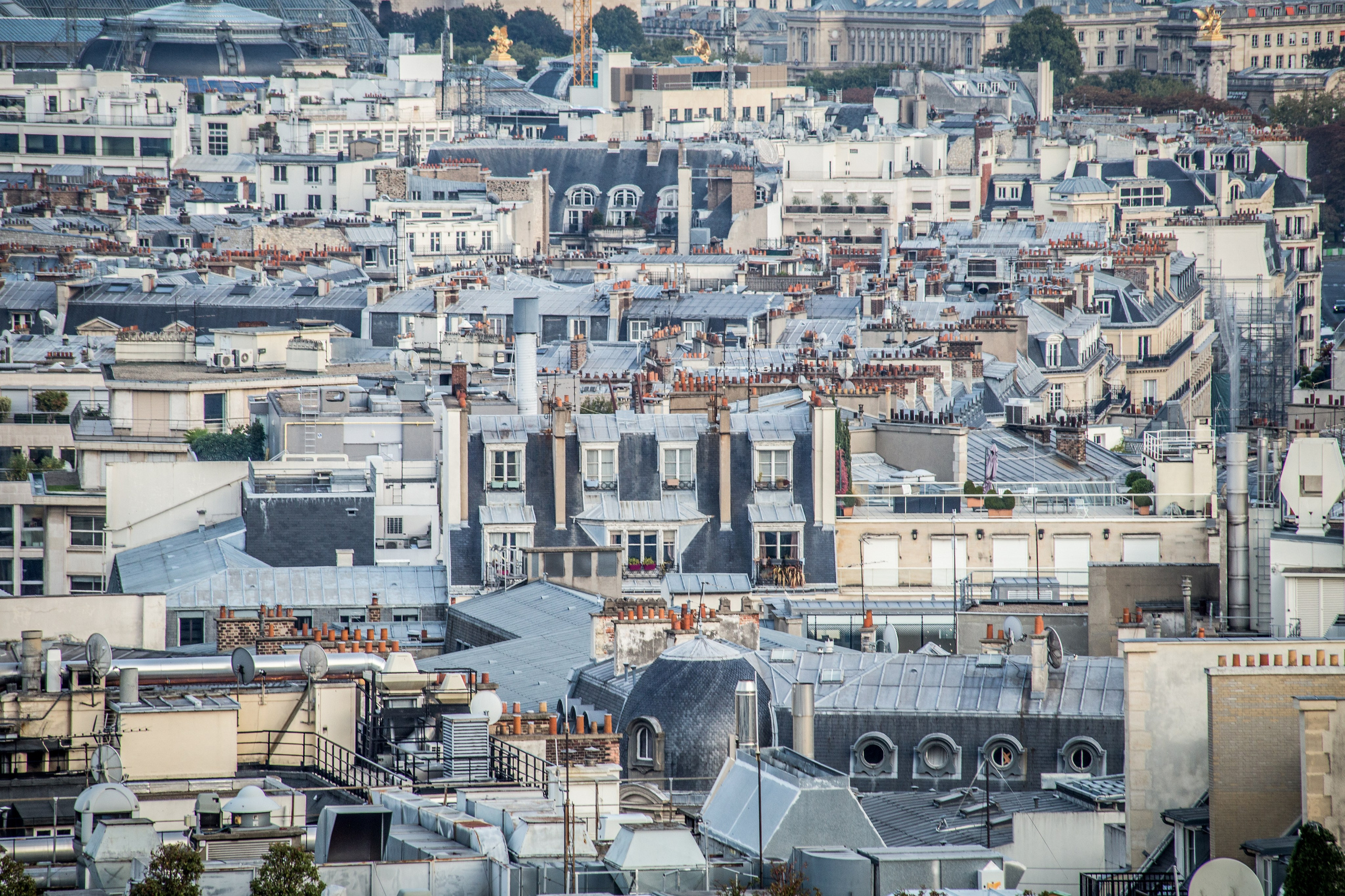 Фотографии для Вашего интерьера. Katya Schou