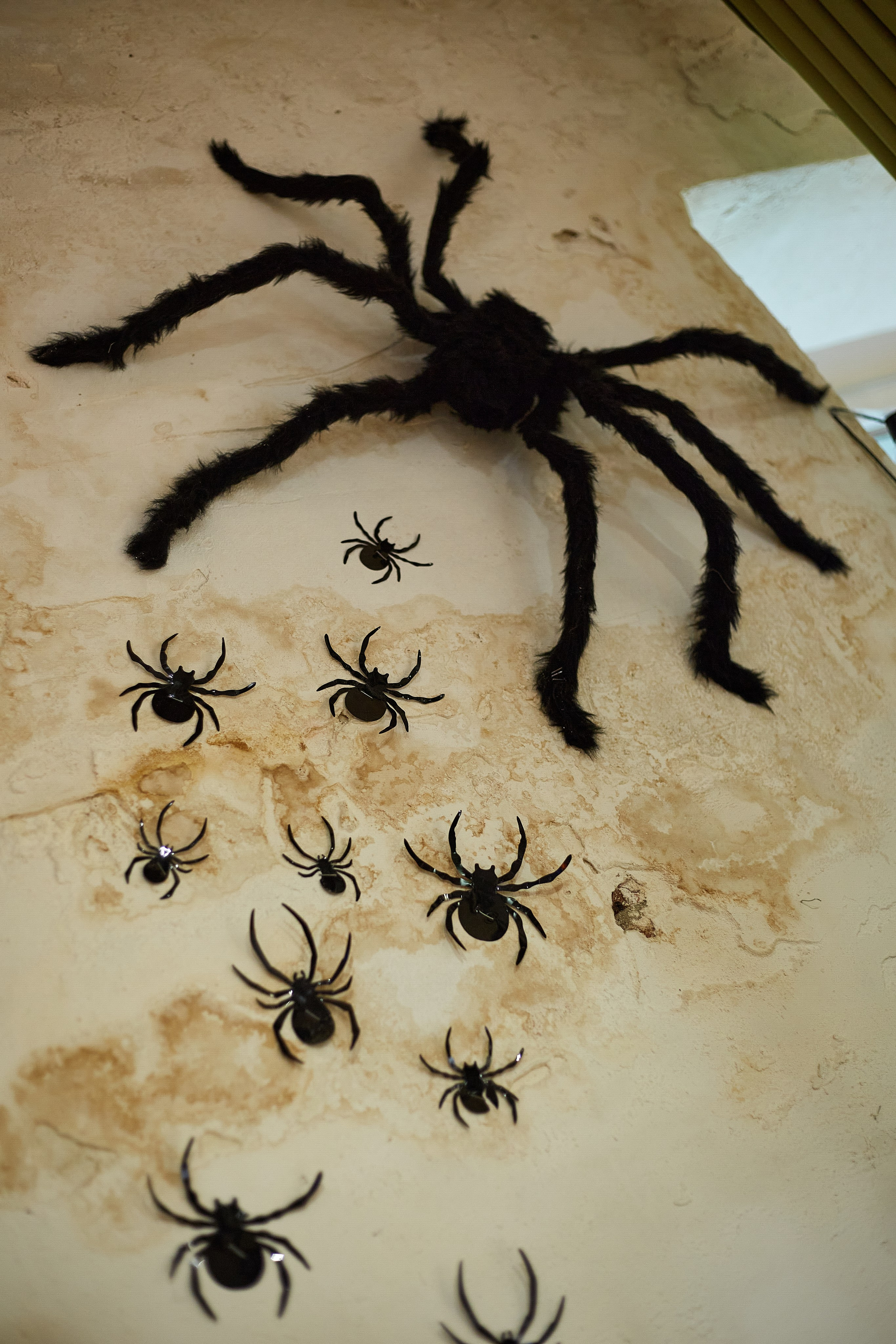 2023-10-20. Risan. Kolokol