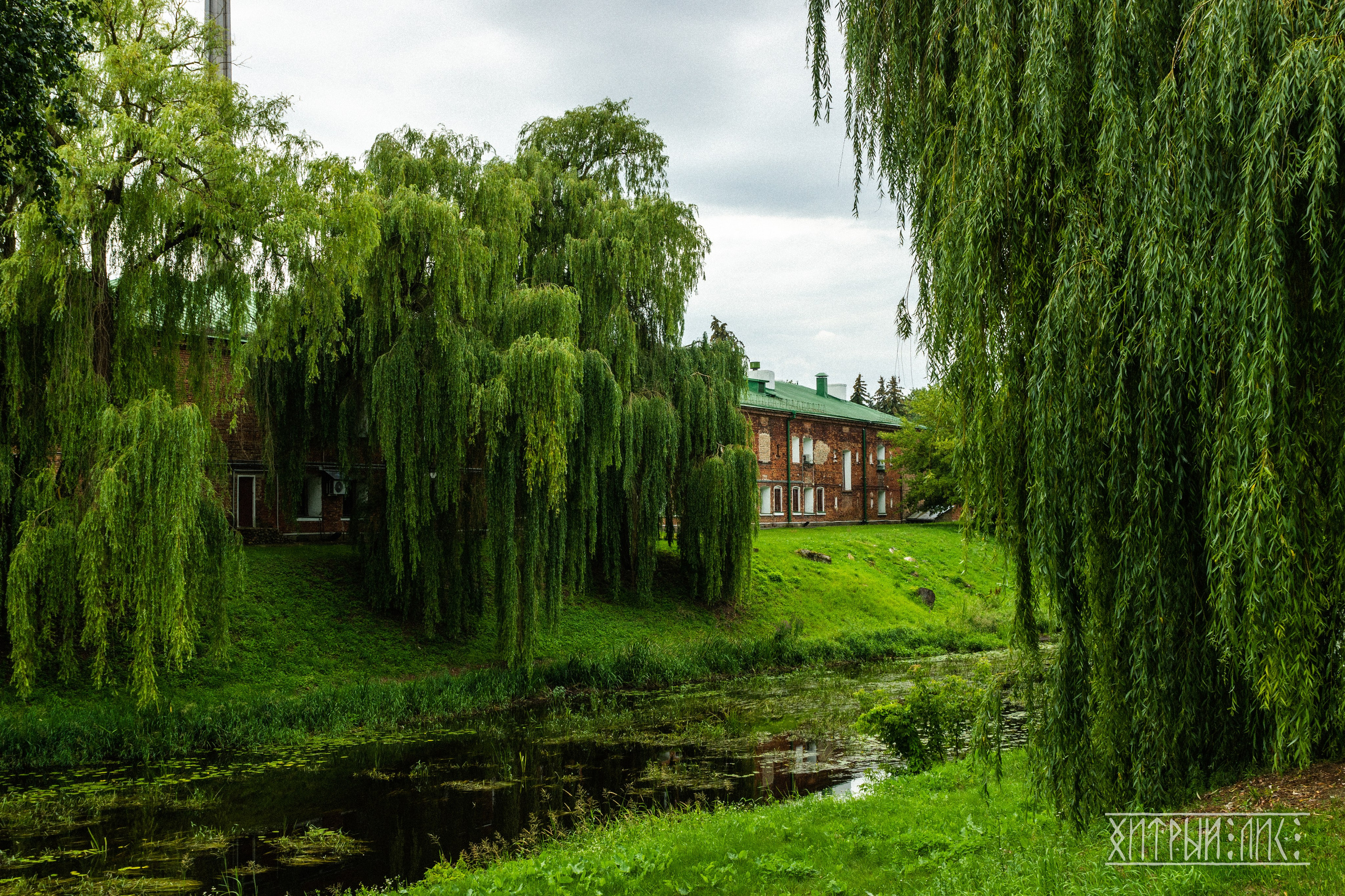 Беларусь. Фотограф-путешественник Самойлов Максим «Sly Fox»