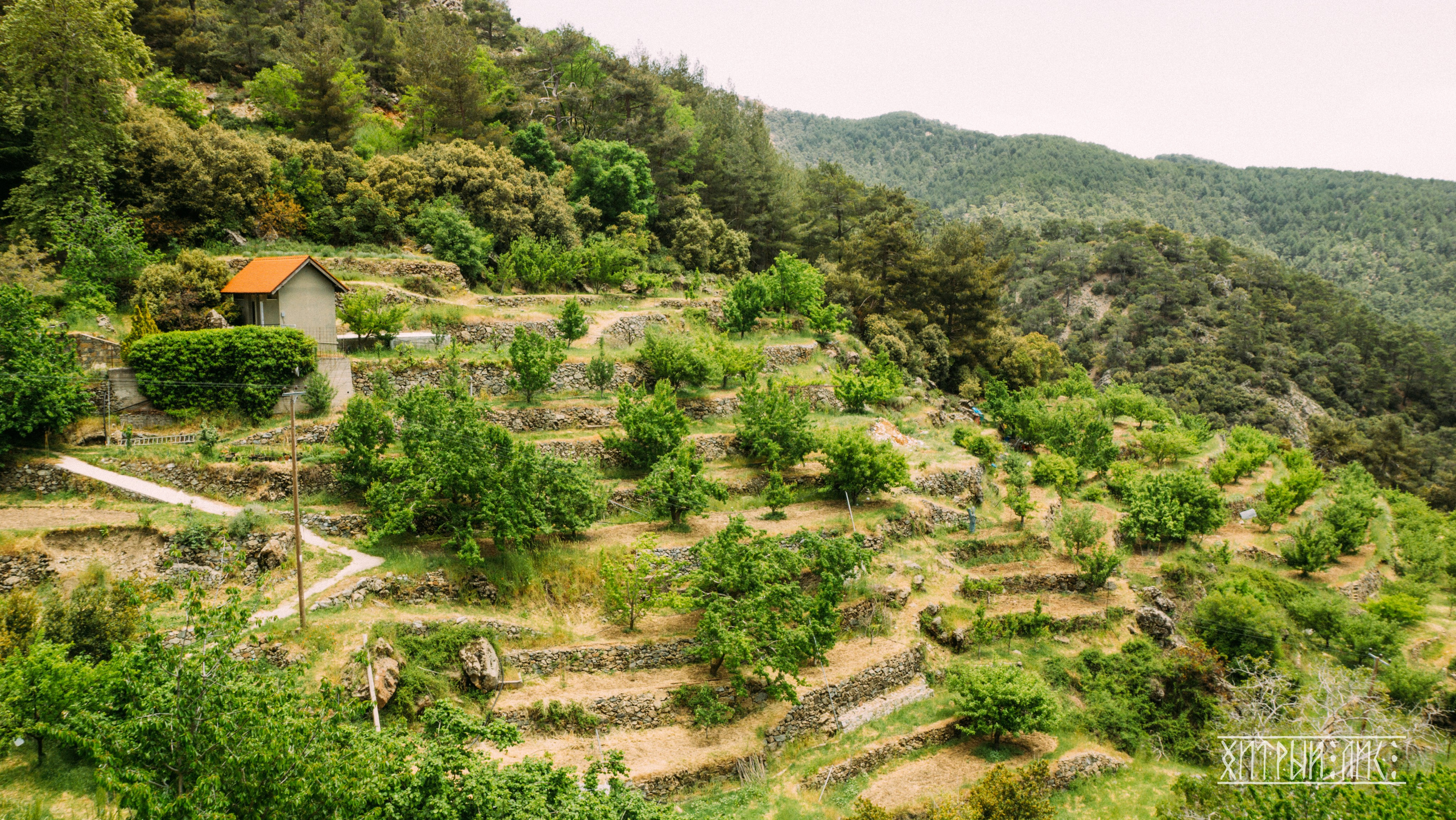 Кипр. Фотограф-путешественник Самойлов Максим «Sly Fox»