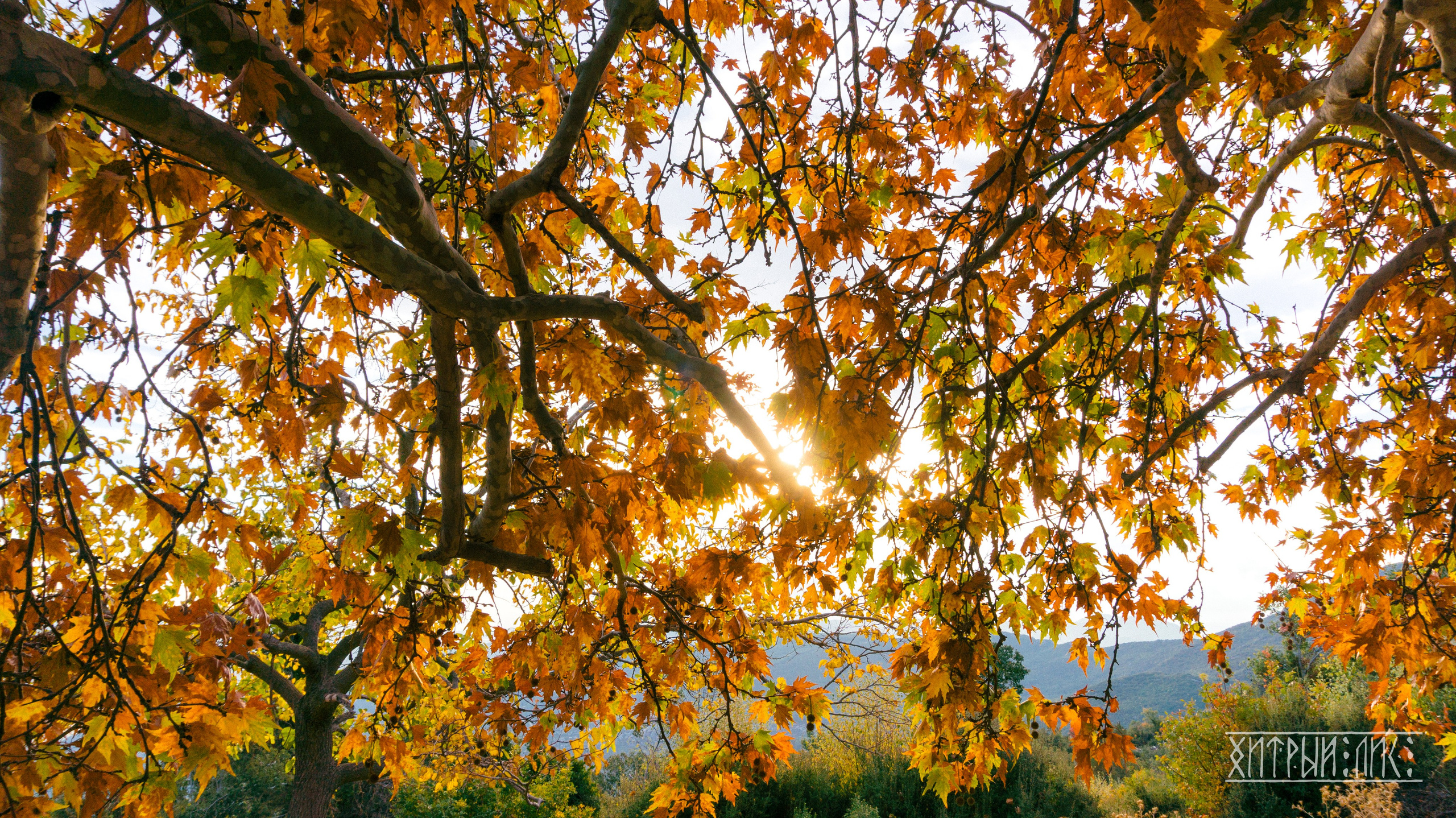 Турция. Ликийский путь. Фотограф-путешественник Самойлов Максим «Sly Fox»