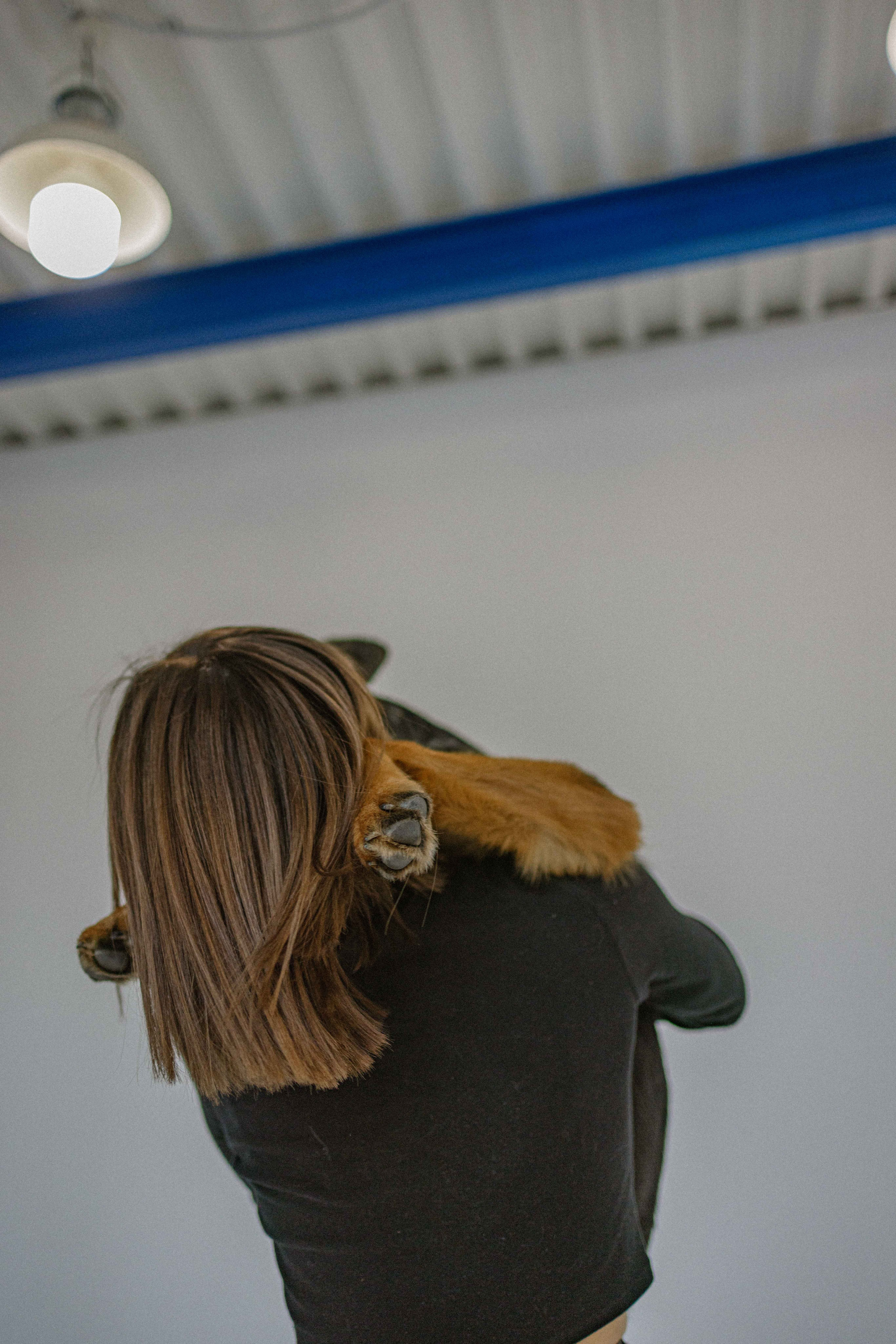 Ася и Буся. Фотограф-анималист в Москве Лера Черноног