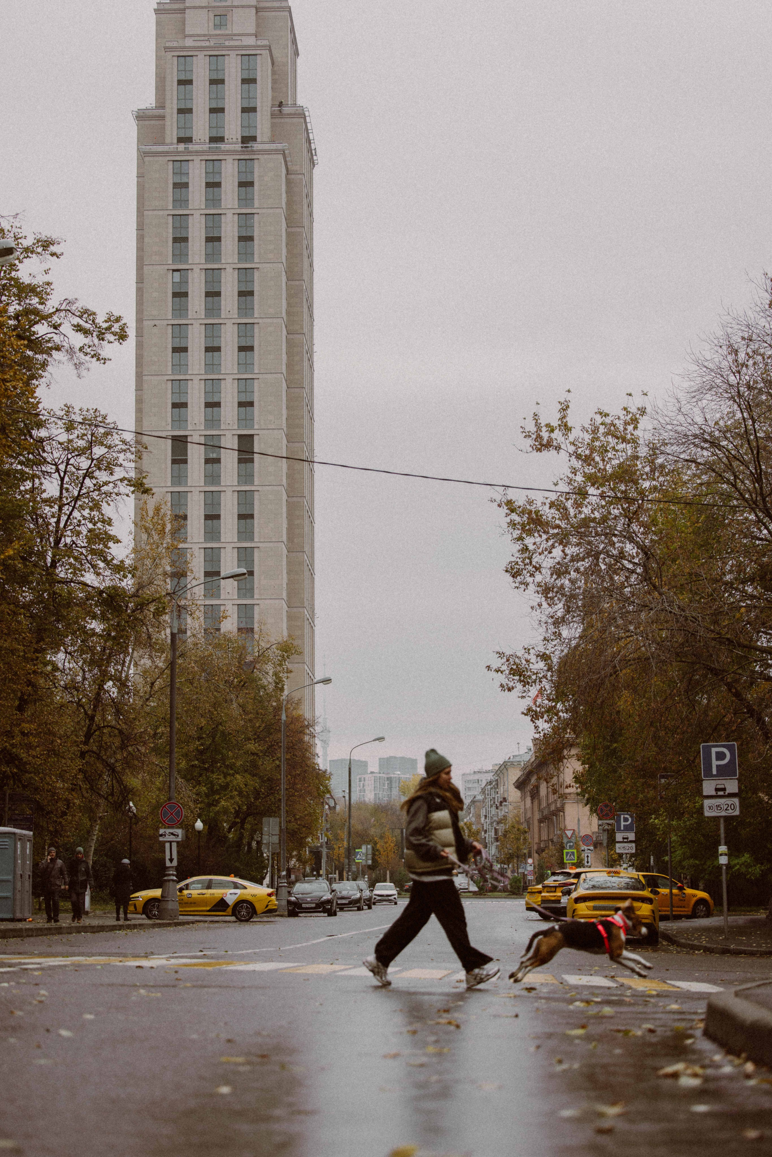 Света и Ива. Фотограф-анималист в Москве Лера Черноног