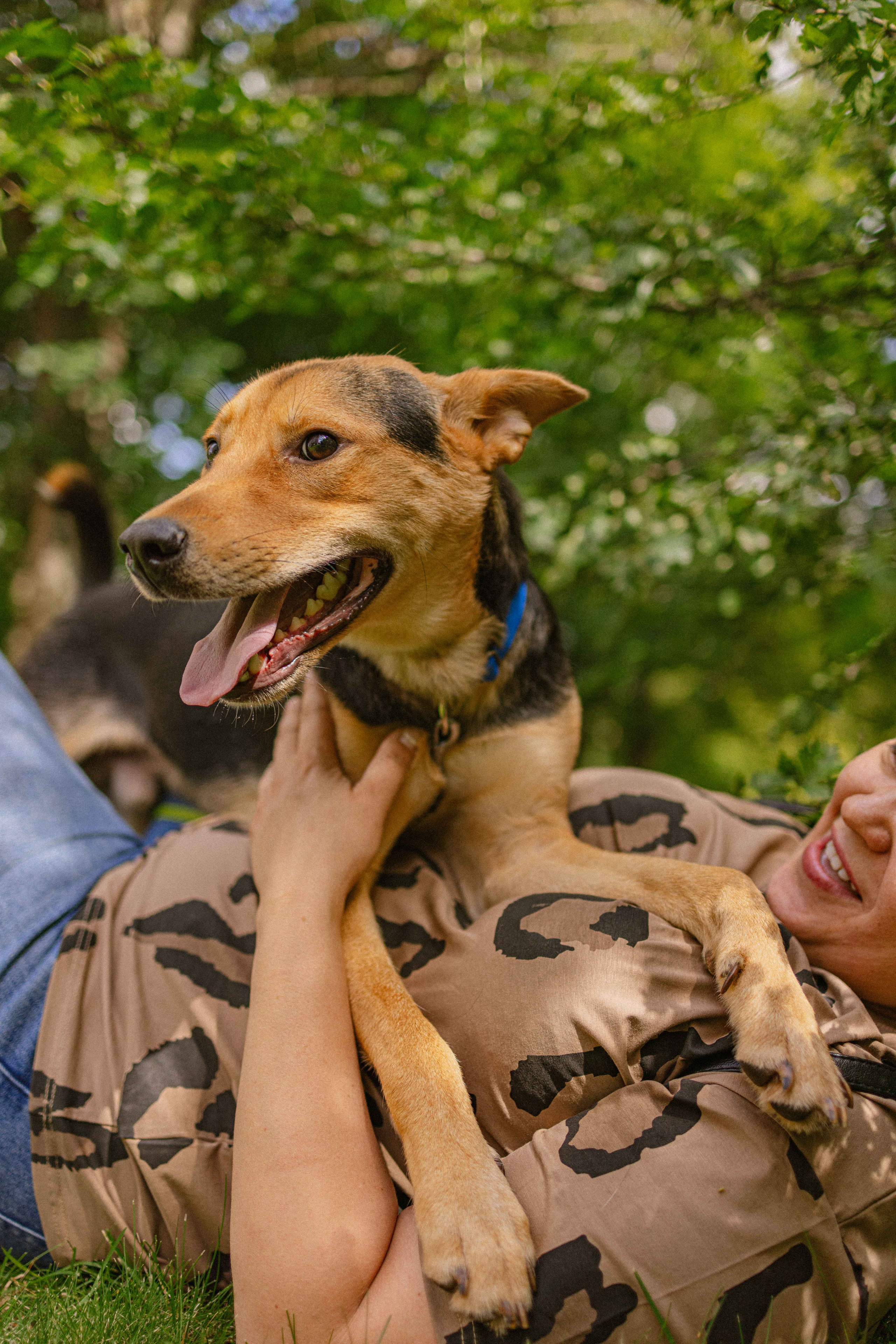 Джеки. Фотограф-анималист в Москве Лера Черноног
