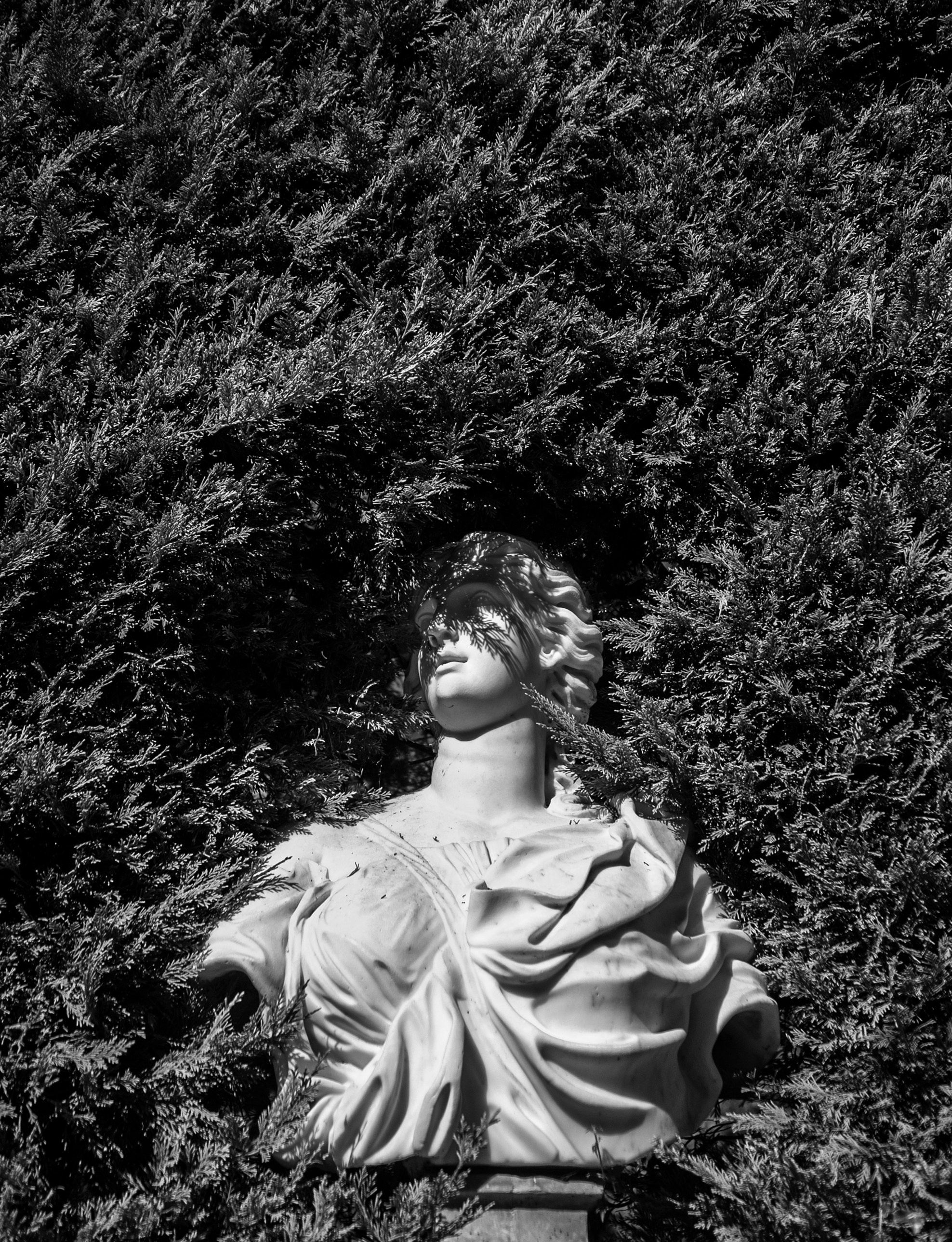 Impressions. Фотограф Oleg Zini