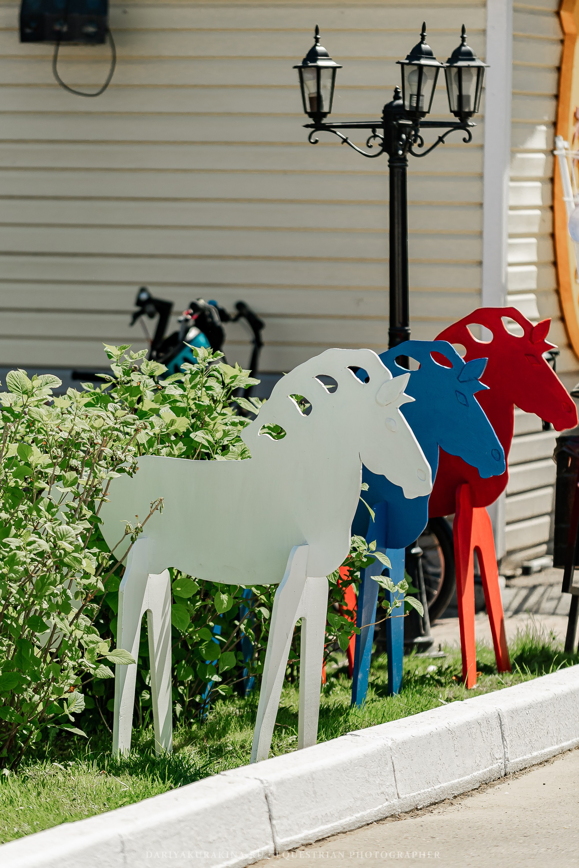 #ПОНИФОРУМ 2024. Конный фотограф Куракина Дарья • Фотосессии с лошадьми