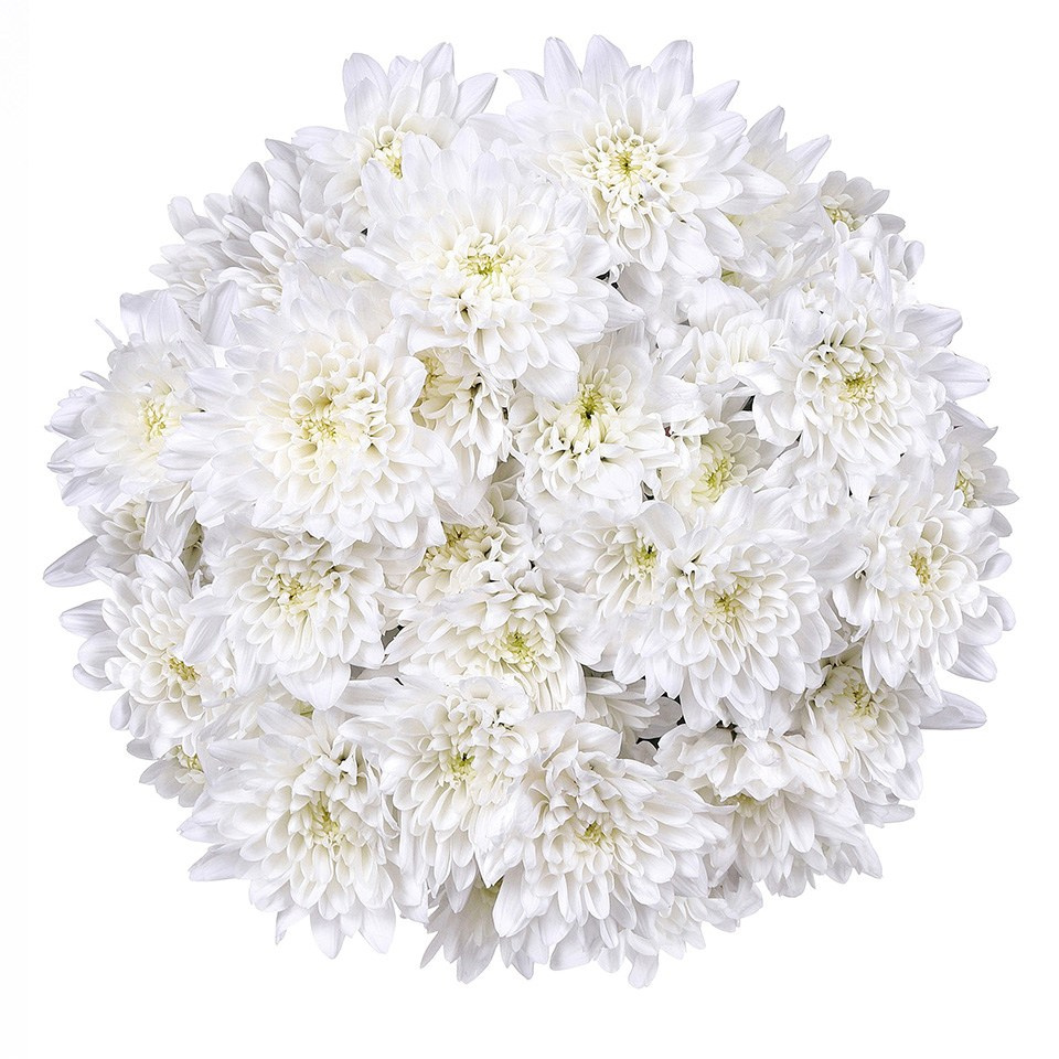 Фотосъёмка букетов и живых цветов для магазинов и службы доставки