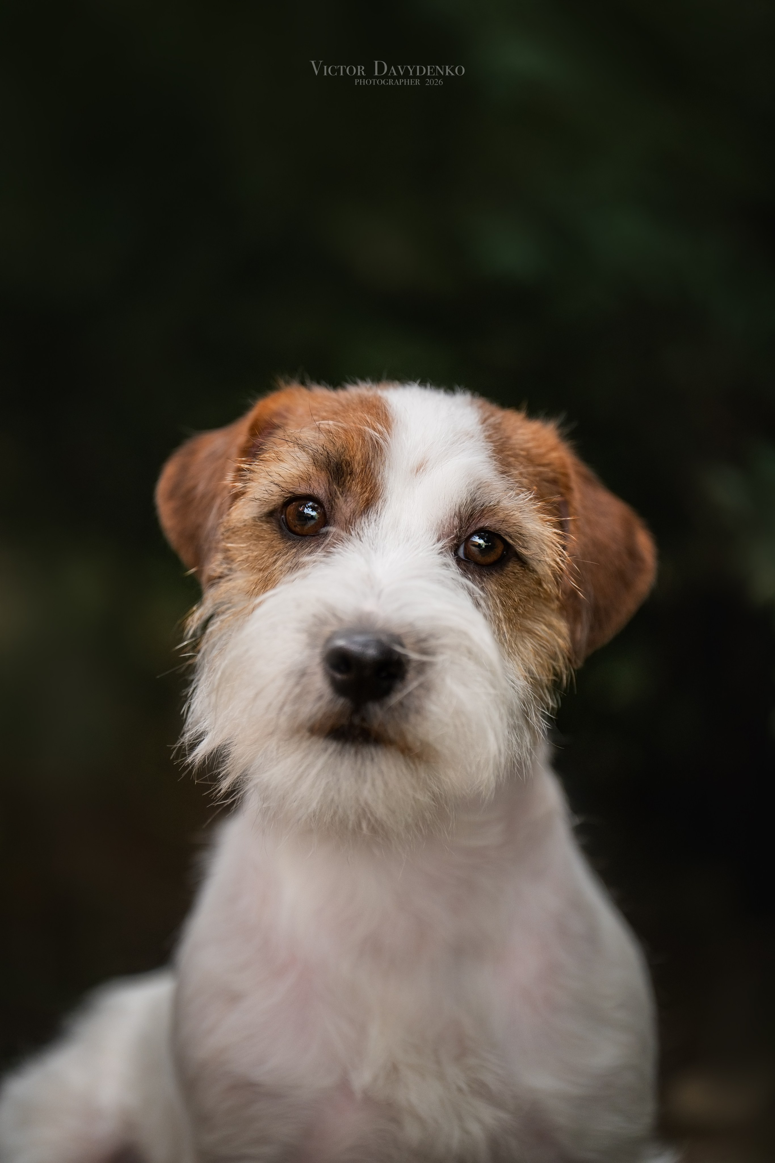 Давыденко Анна / Фотограф Краснодар/Сочи