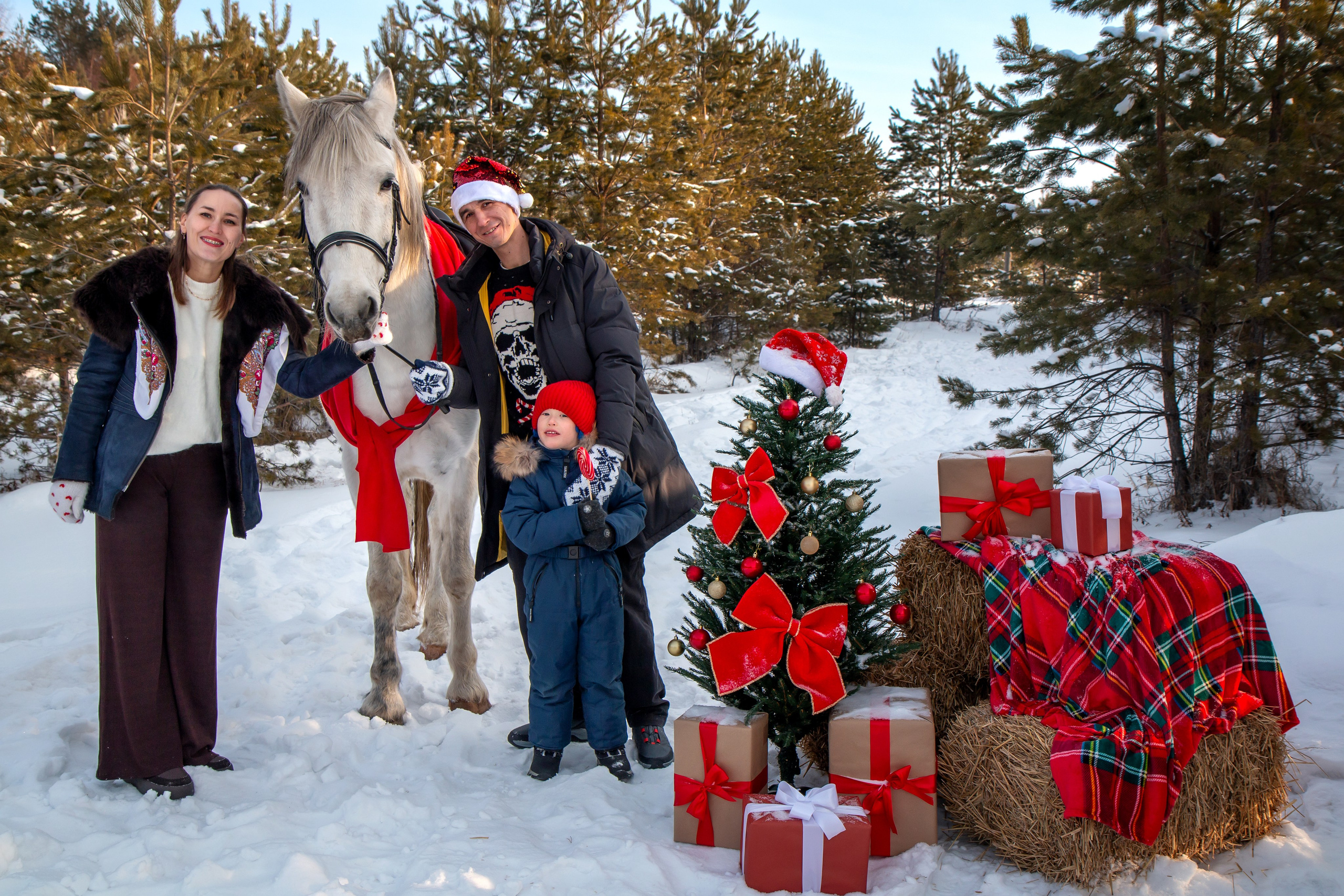 Анастасия с семьей. Участники «Новогоднего фотопроект с лошадью». Фотограф в Шелехове, лучшие выпускные альбомы в Шелехове