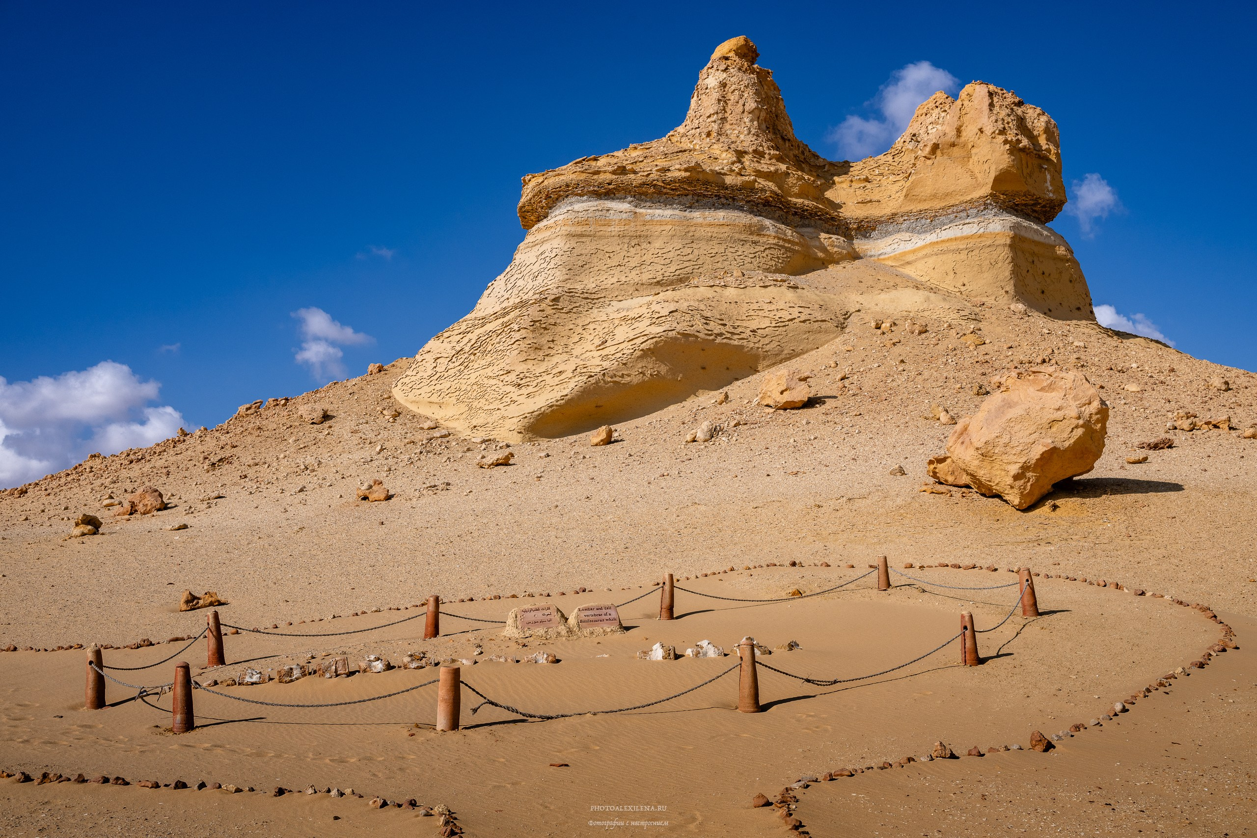 Снова в пустыню, за скелетами…. Авторские стильные фотокартины