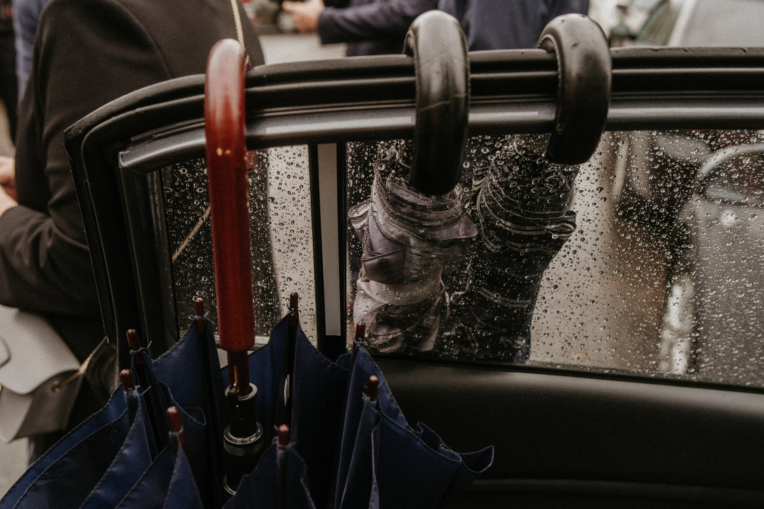 УТРО В ЛЕСУ. Миша Снимет | твой фотограф