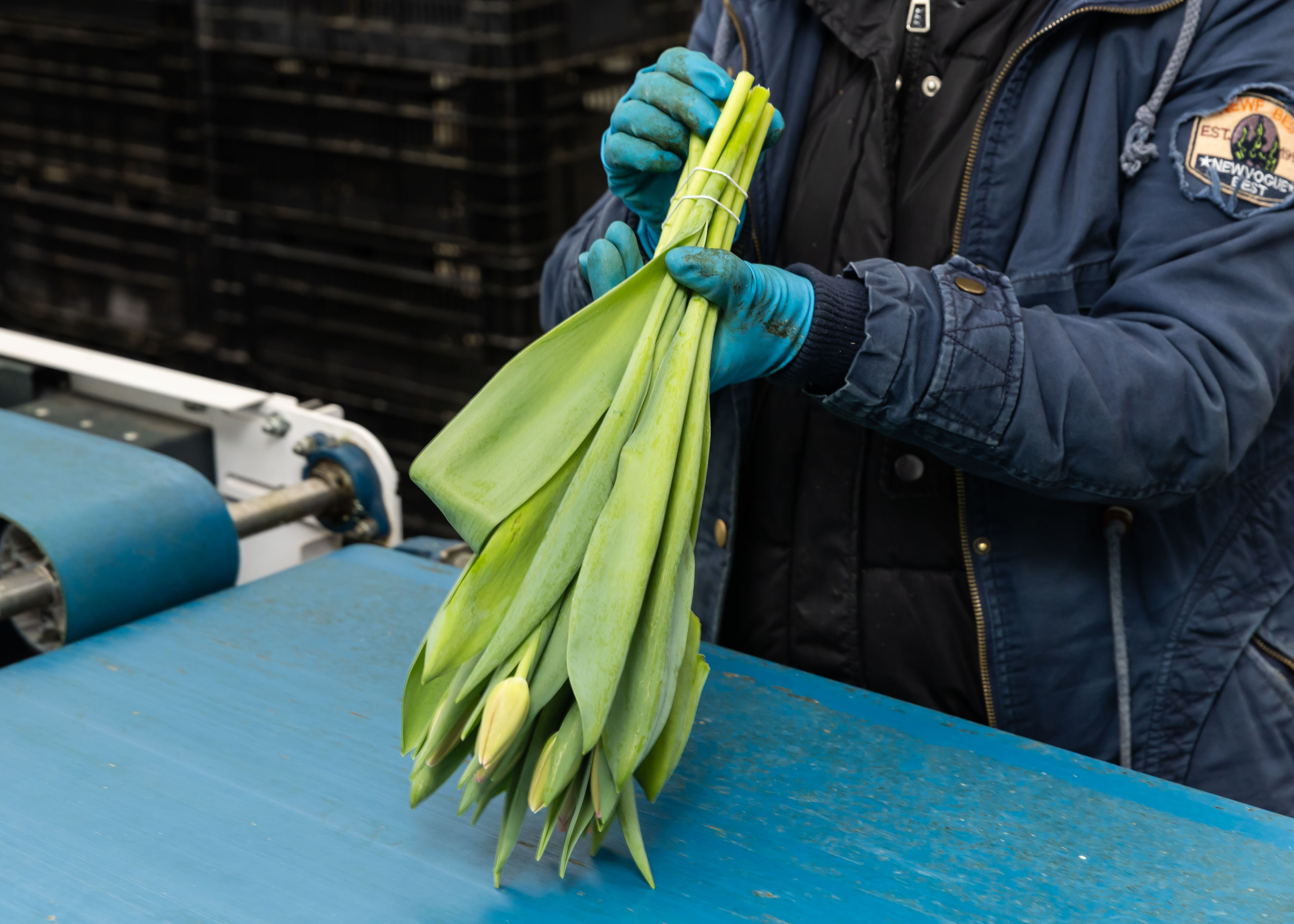 26.02.2026 Цветополис. ФОТОГРАФ ВИНОГРАДОВА ДАРЬЯ