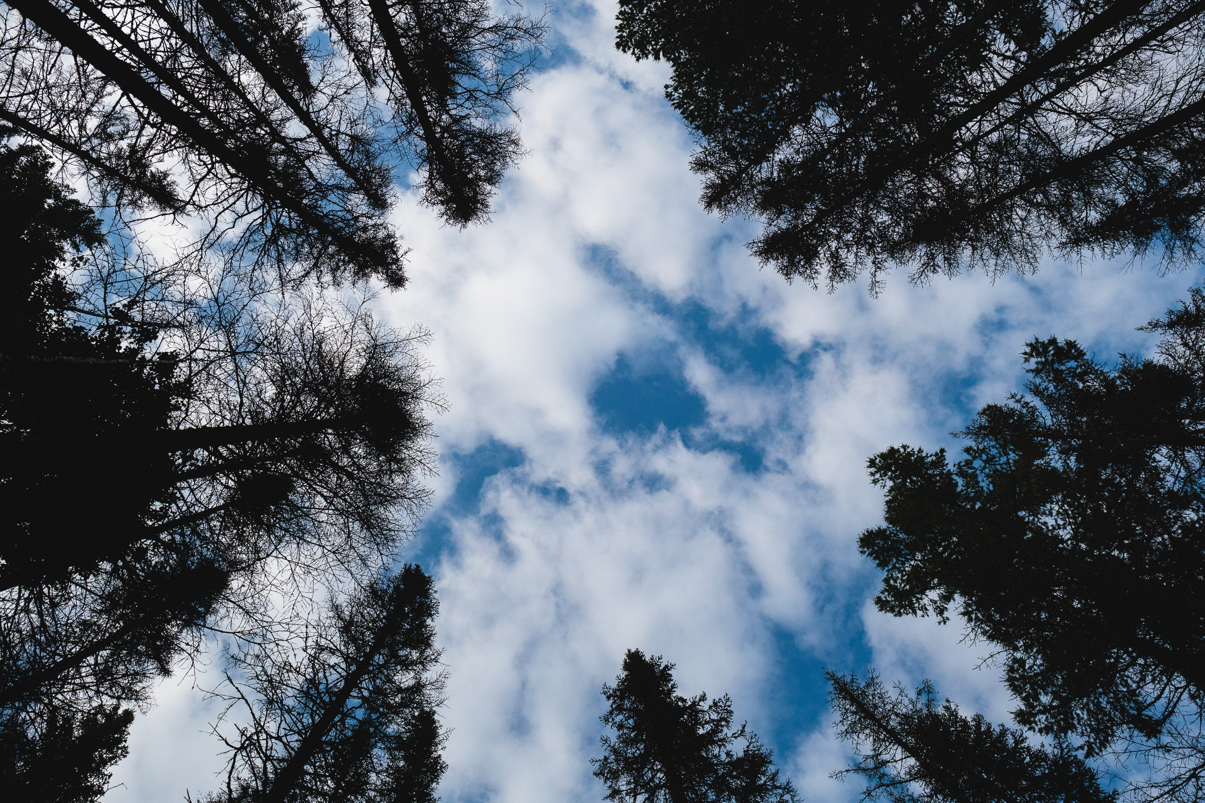 Отзывы. Фотограф Вадим Благодарный