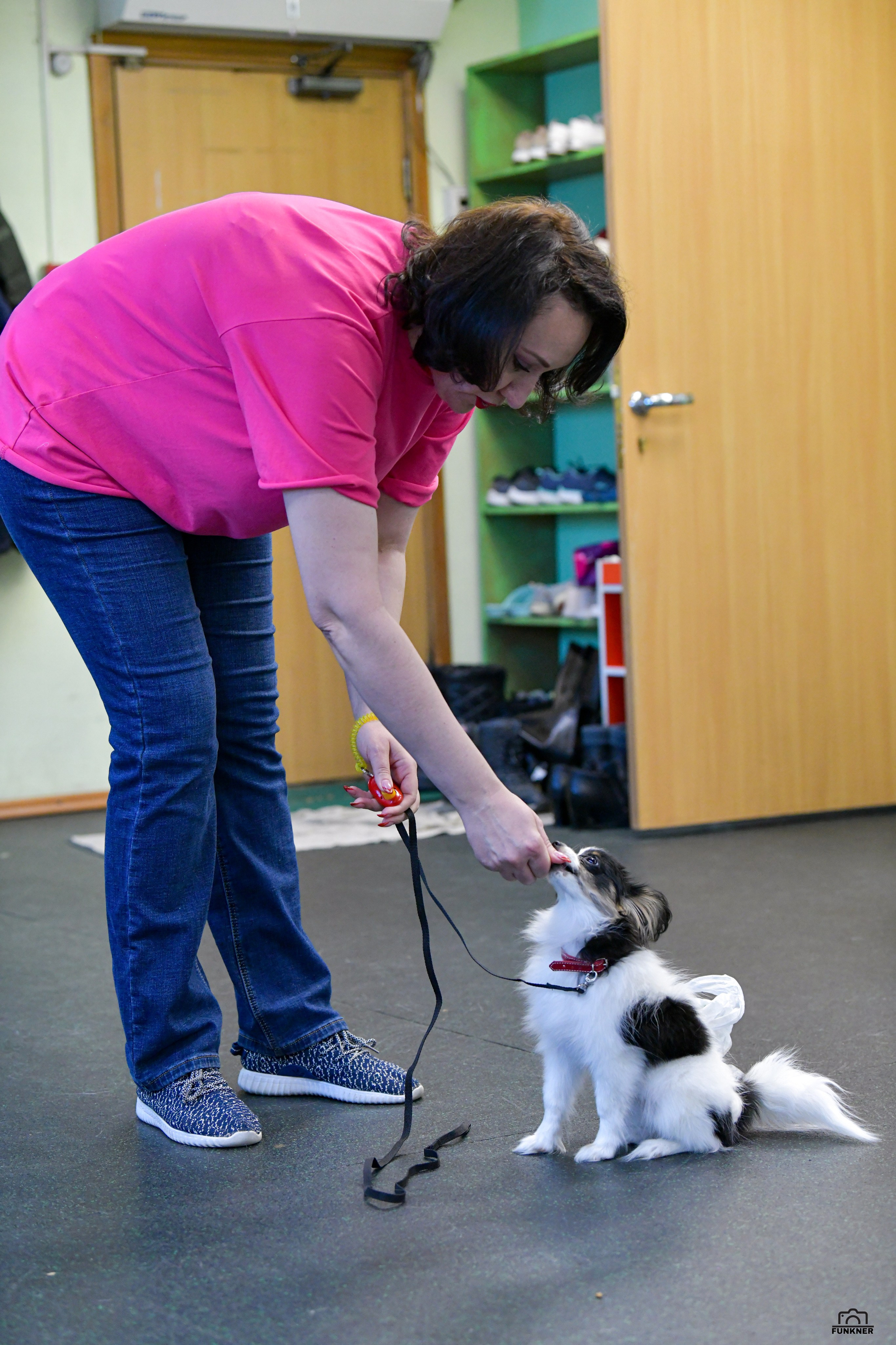 Кинологический клуб «Бодрый хвост». Свой взгляд через объектив