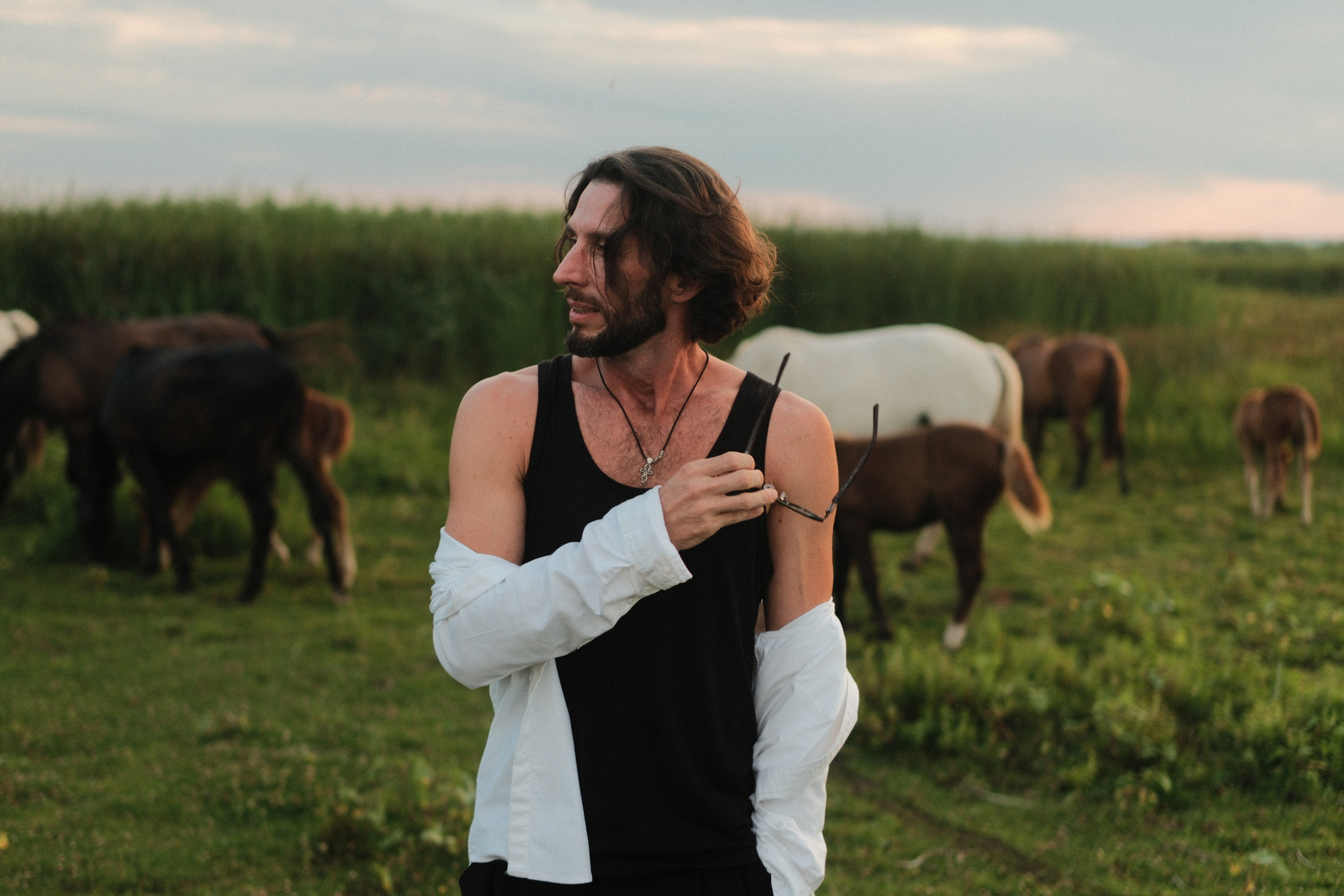 В поле с конём. Фотограф/Видеограф из Саратова