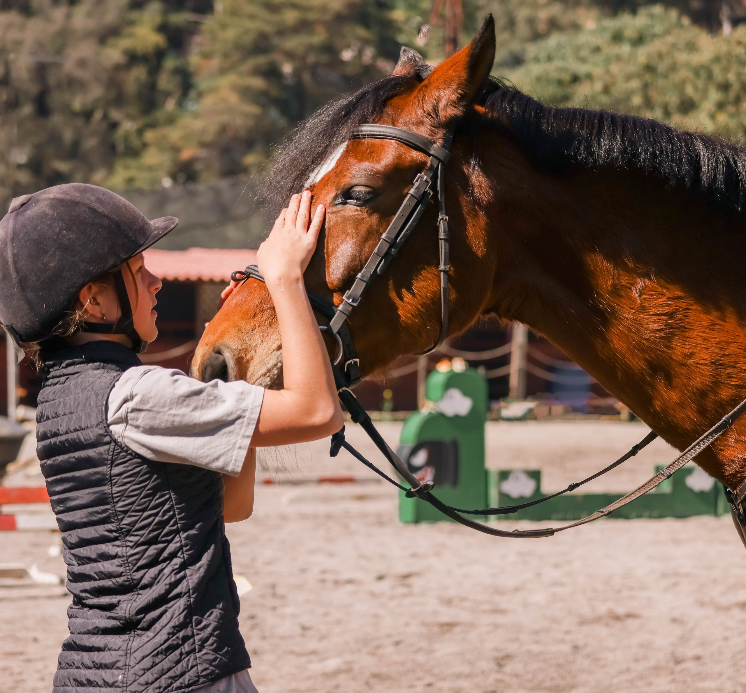 Лошади. Kateserbina